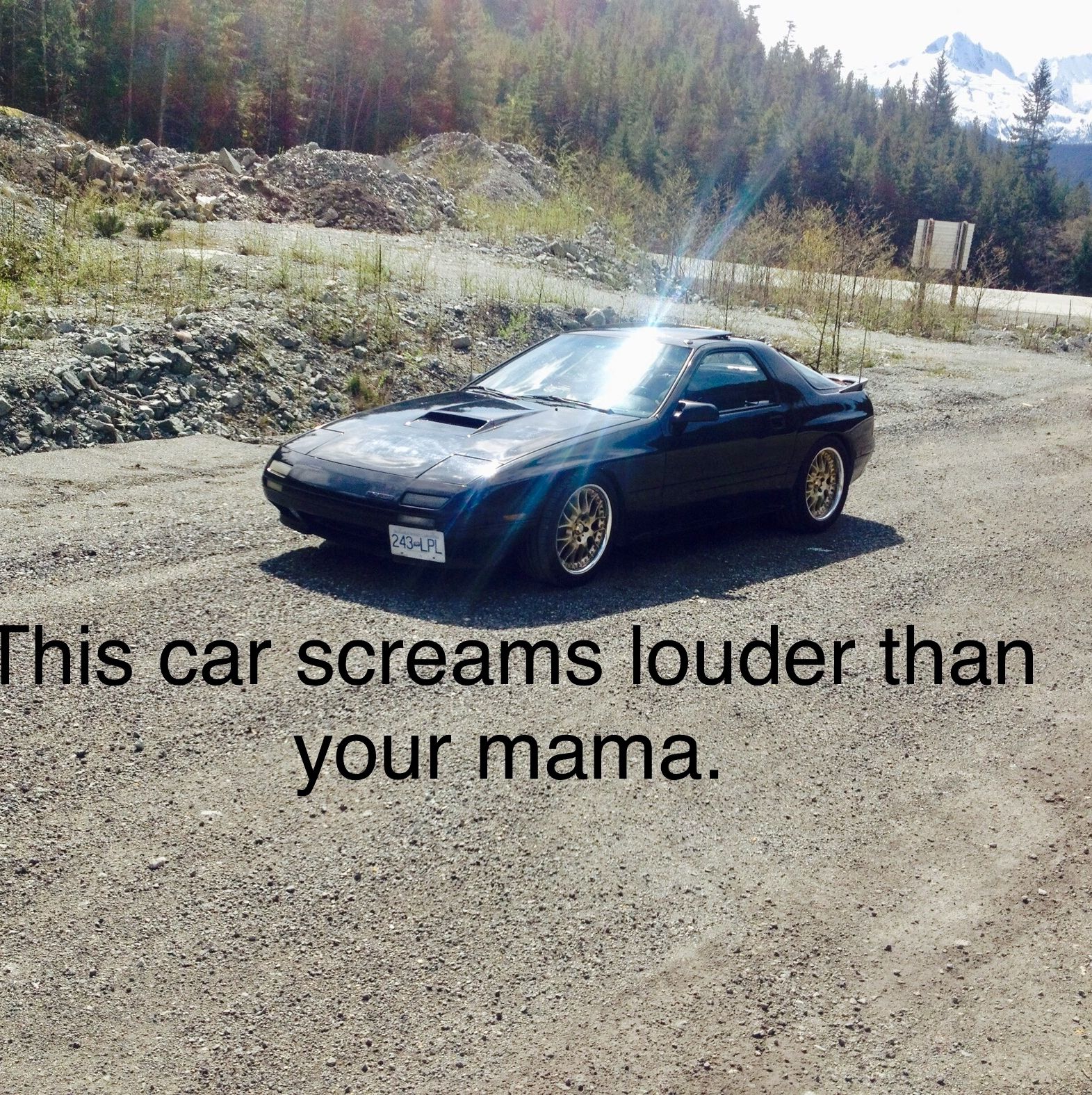 Profile of Wallace Mckee