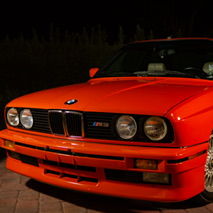 Profile of Fernando Neris