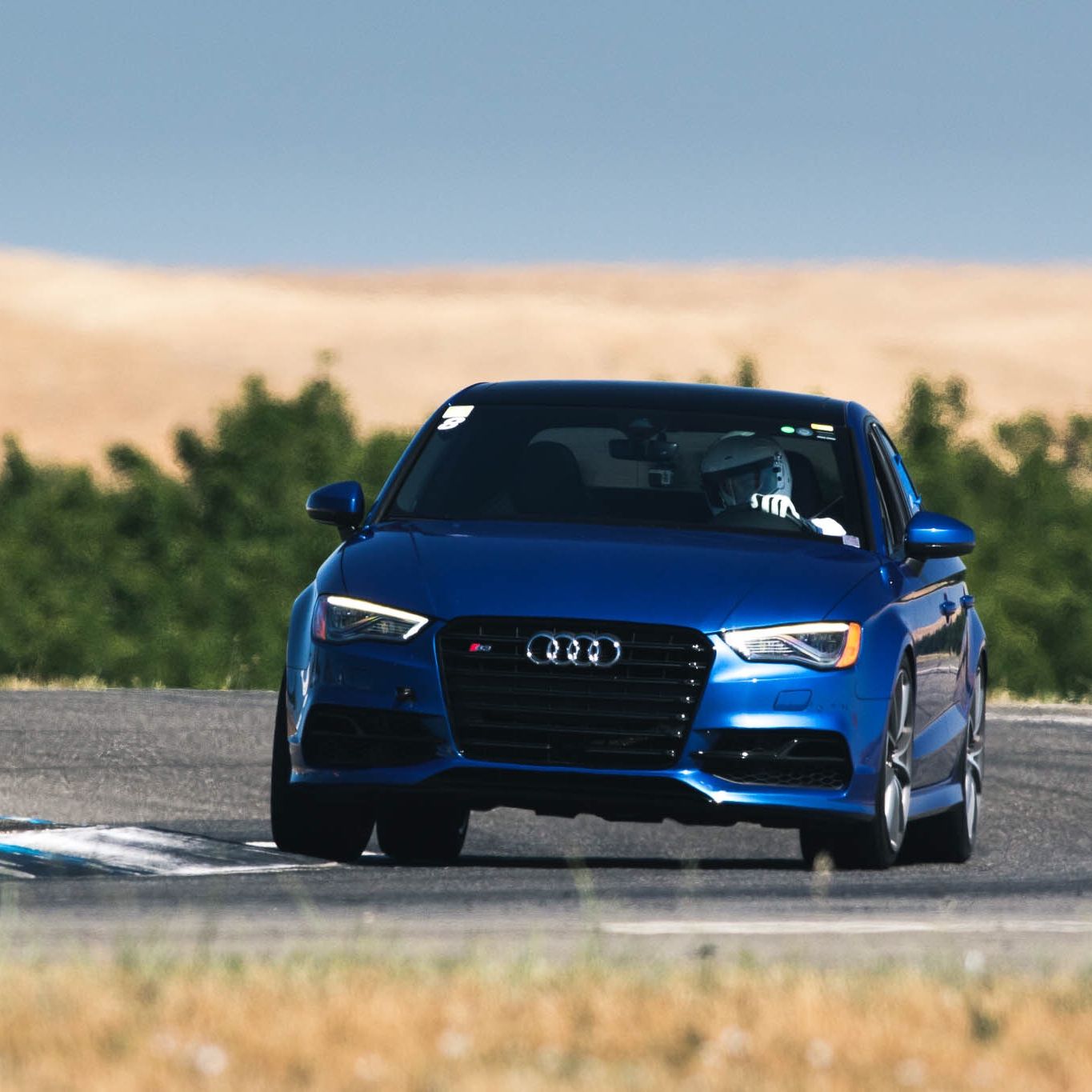 Profile of Samuel Sanches