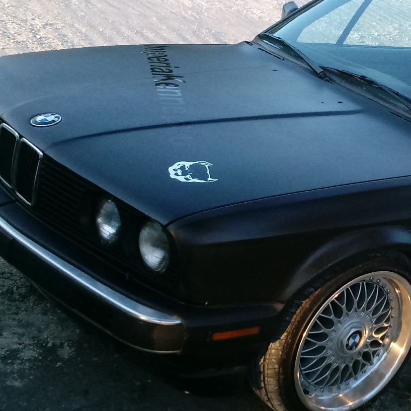 Profile of Alberto Alvarez