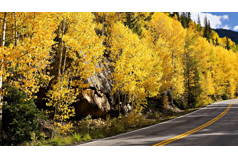 Colorado Fall Colors Road Trip