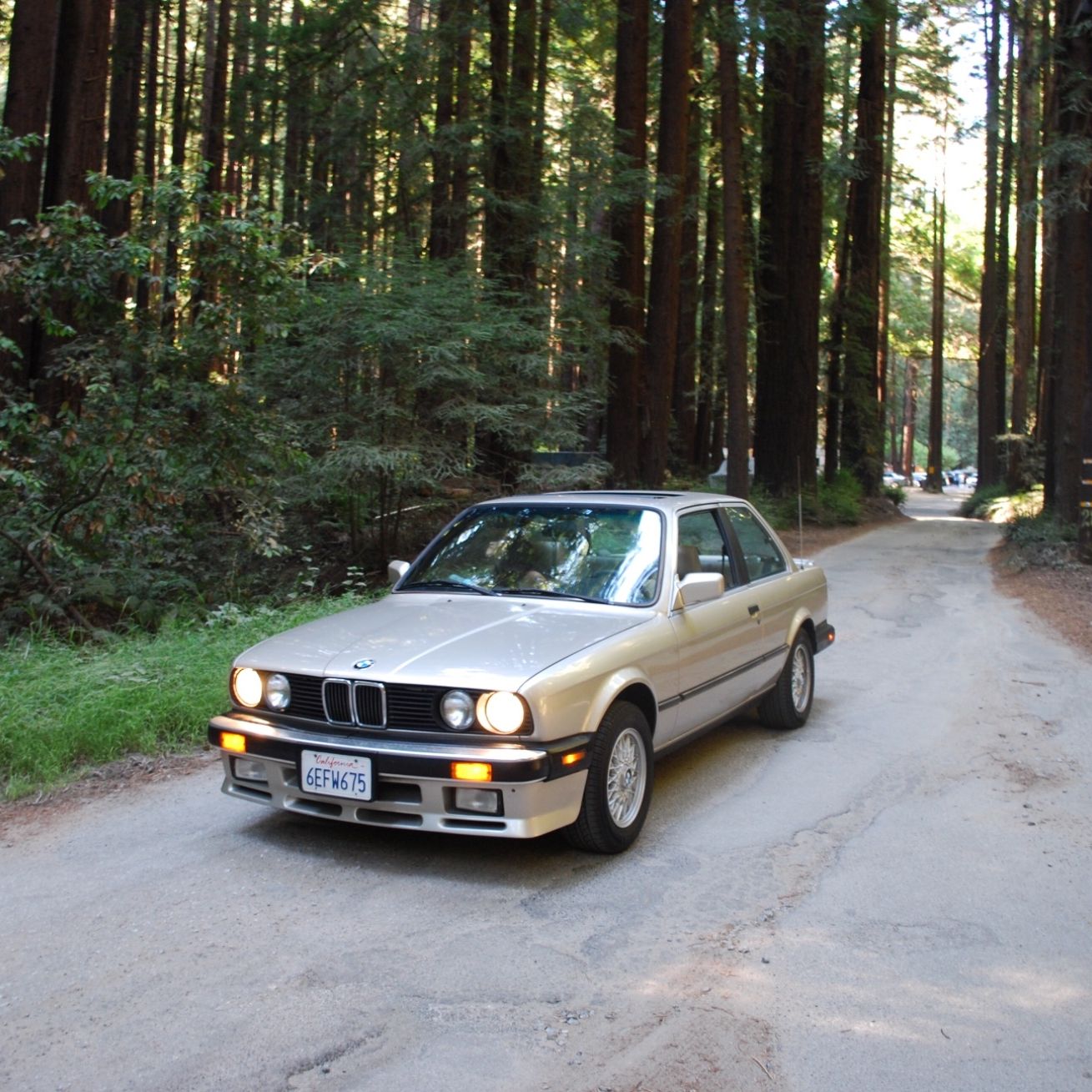 Profile of Peter Perez