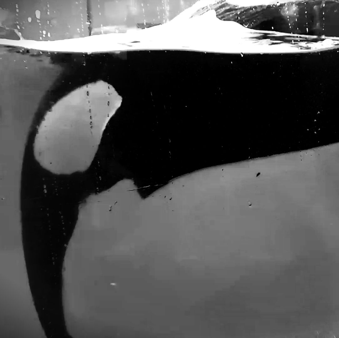 Profile of Caitlin Truscello