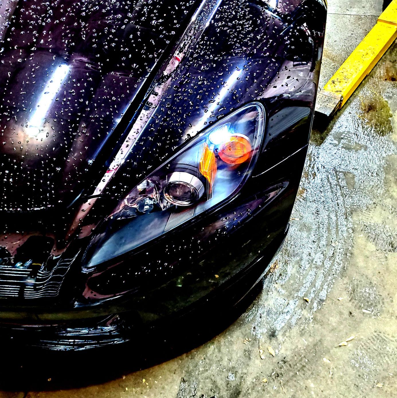 Profile of Korey Patey