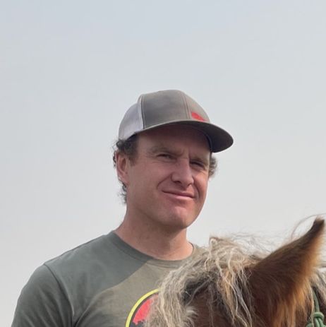 Profile of Shane Knights