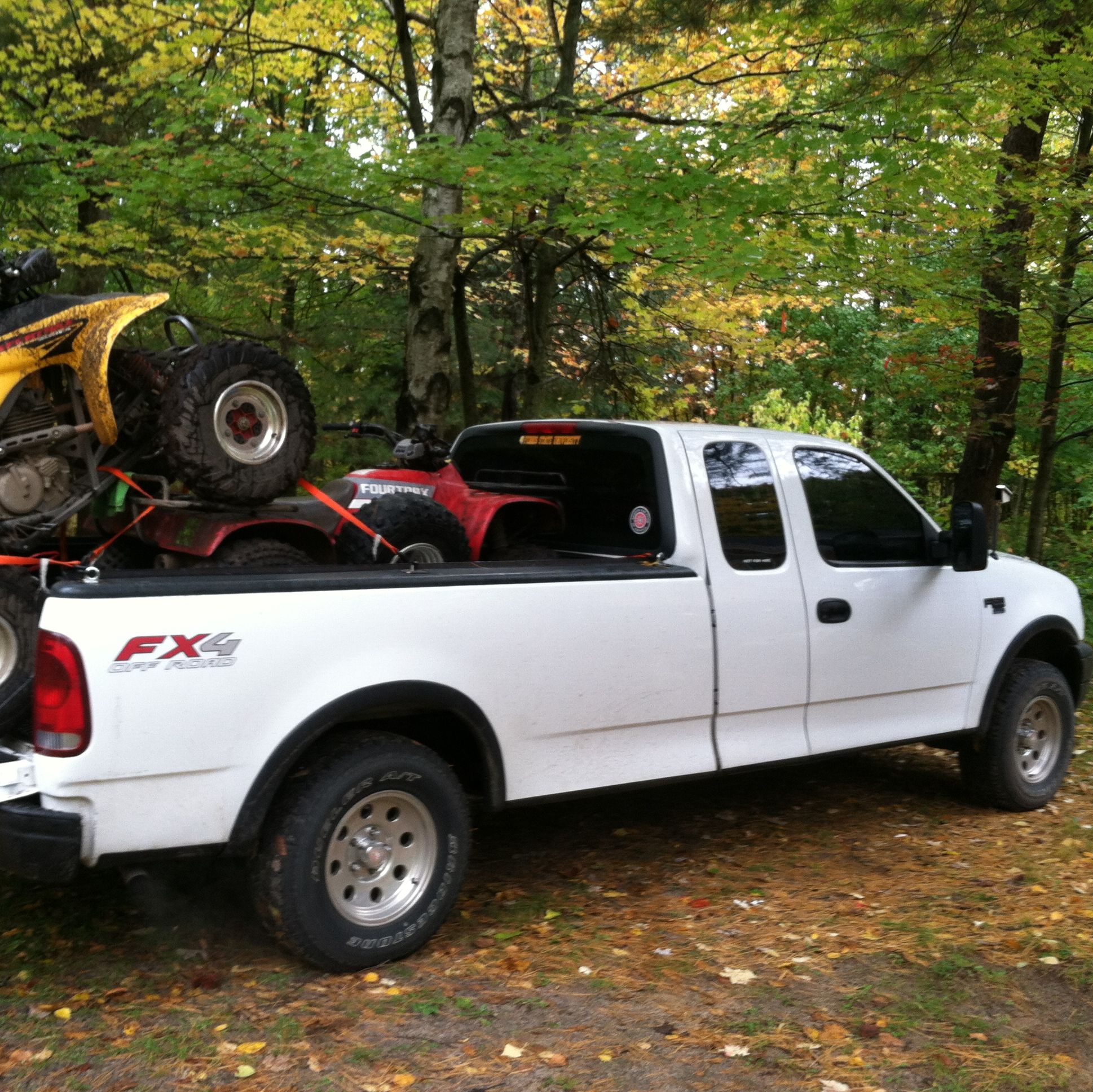 Profile of Mark Widak