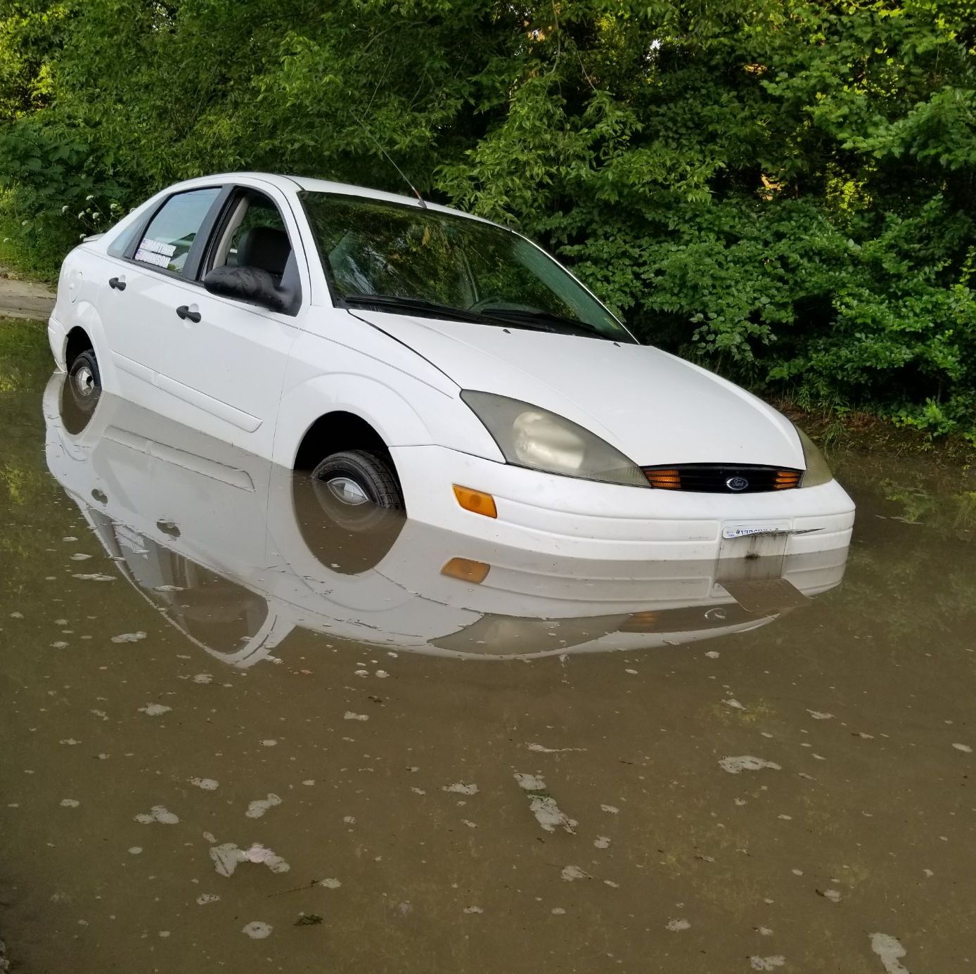 Profile of Raul Martinez