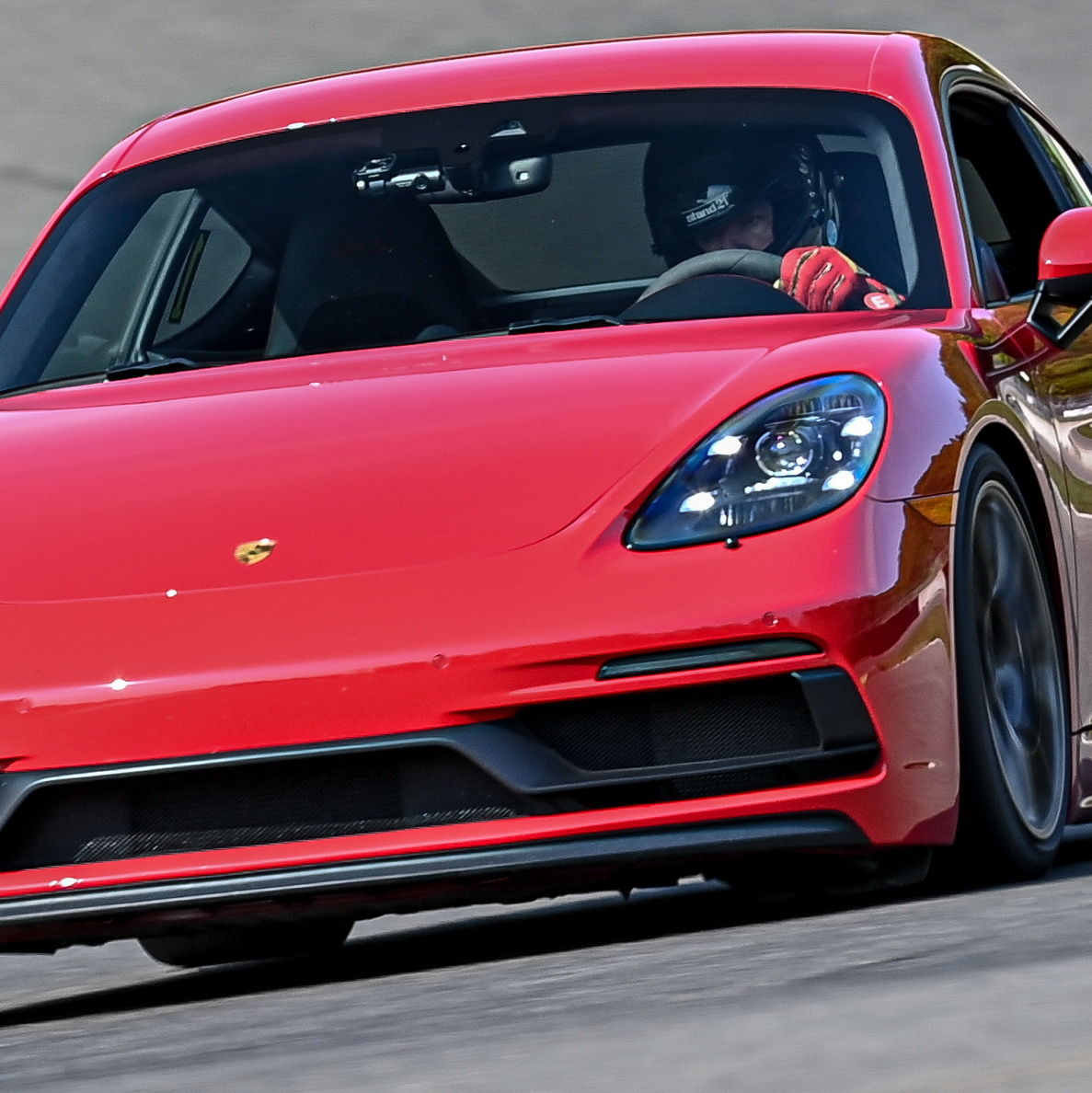 Profile of Michel L'Abbe