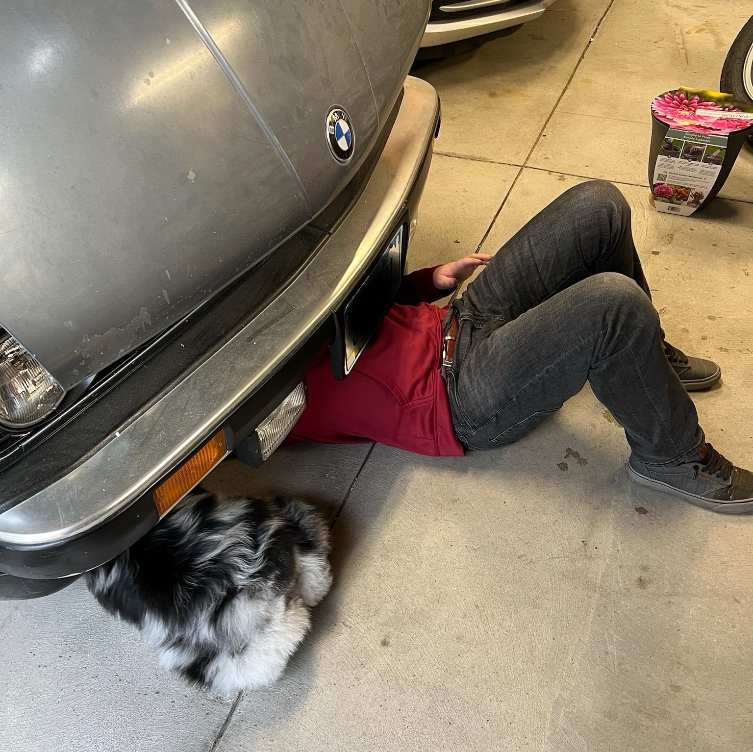 Profile of Dylan Crees