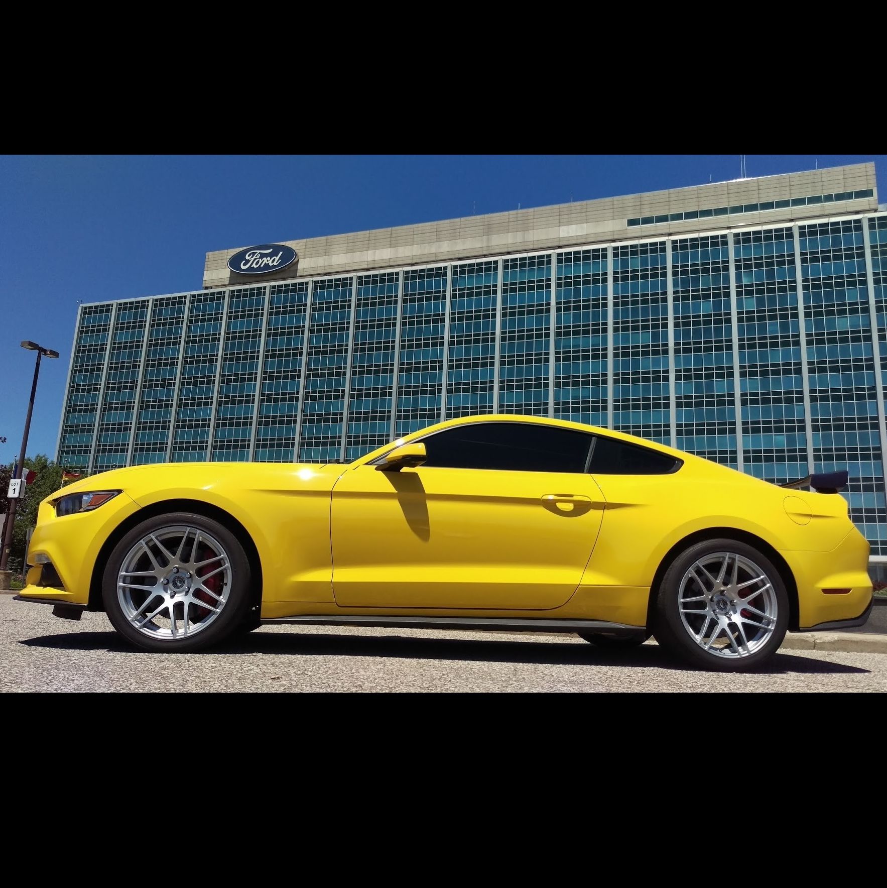 Profile of Darius Rudis