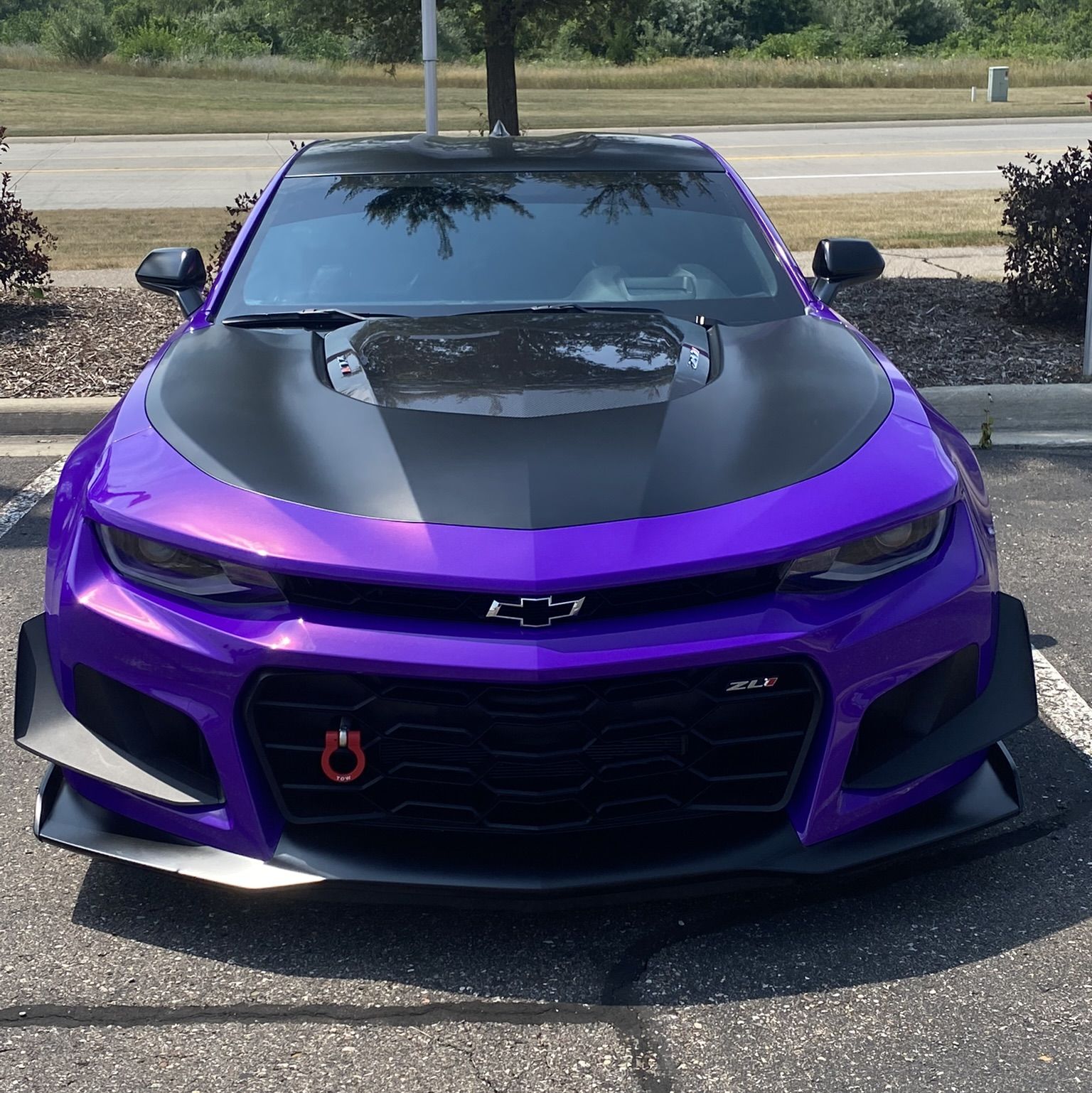 Profile of Joe Shehan