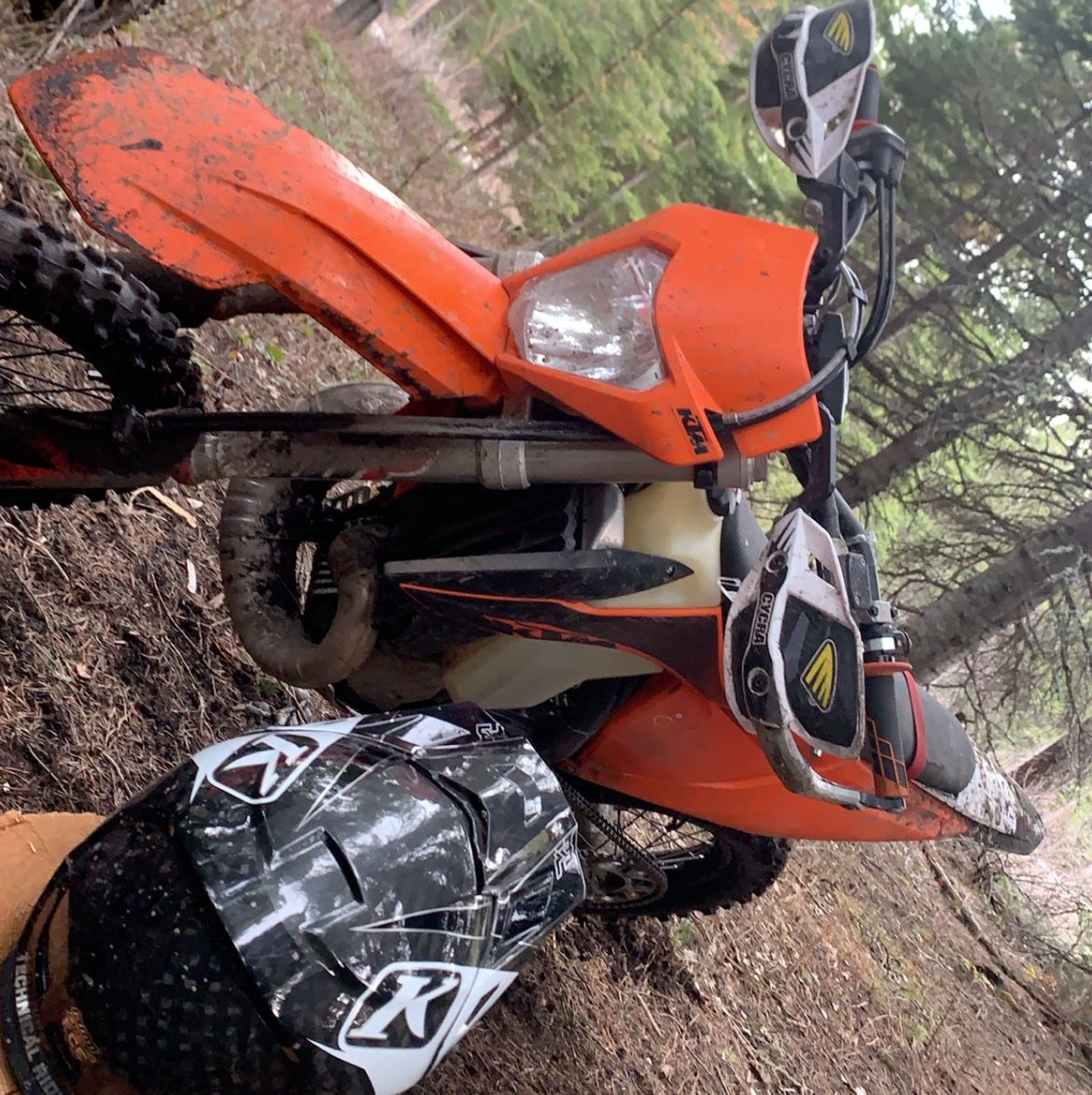 Profile of Josh Tippel