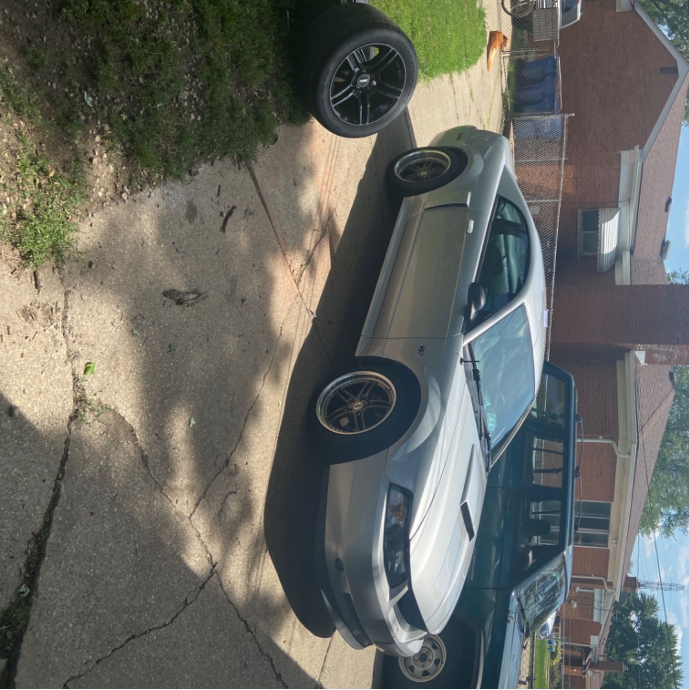 Profile of Joshua Giametta