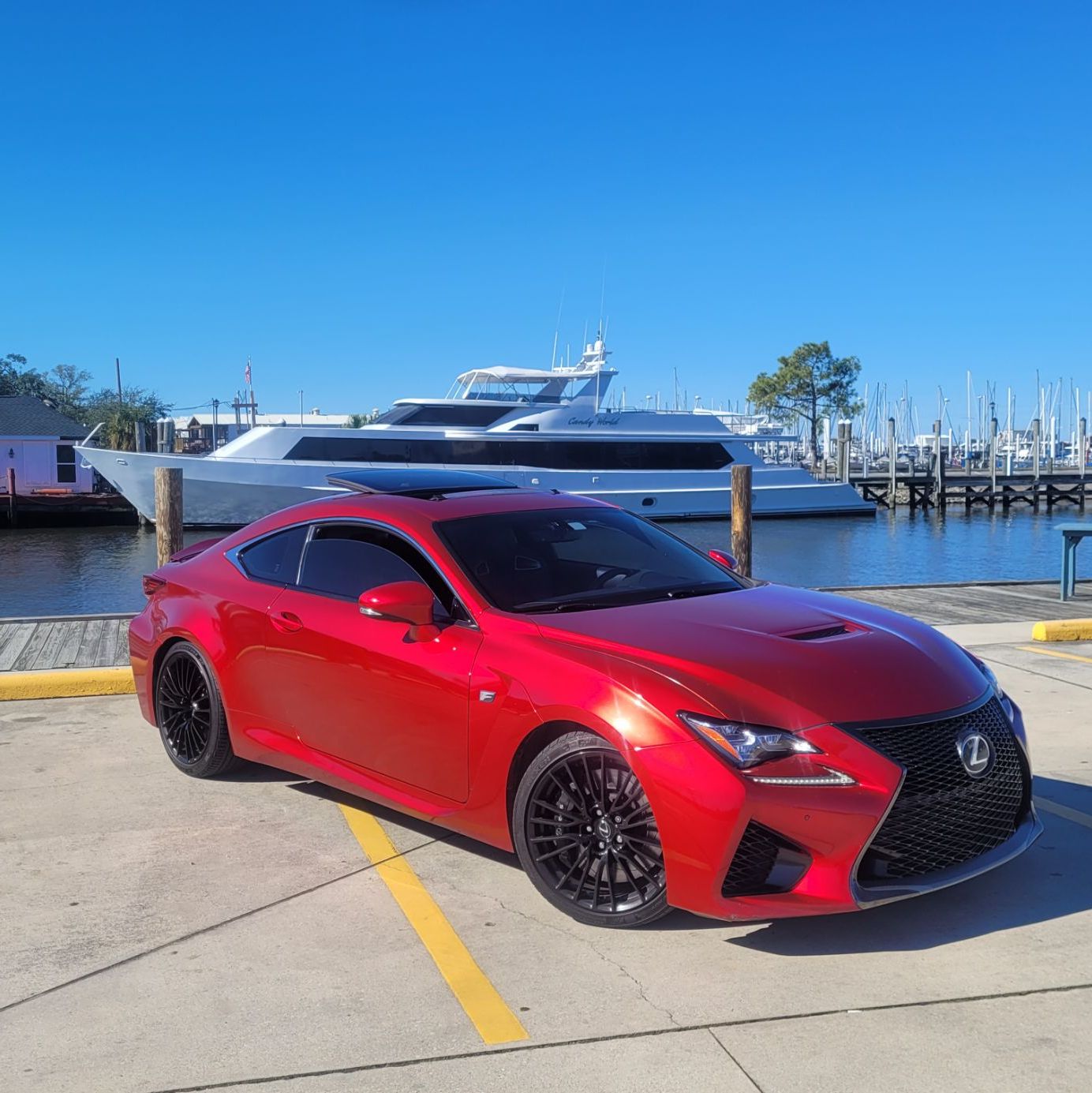 Profile of Brandon Duplantier