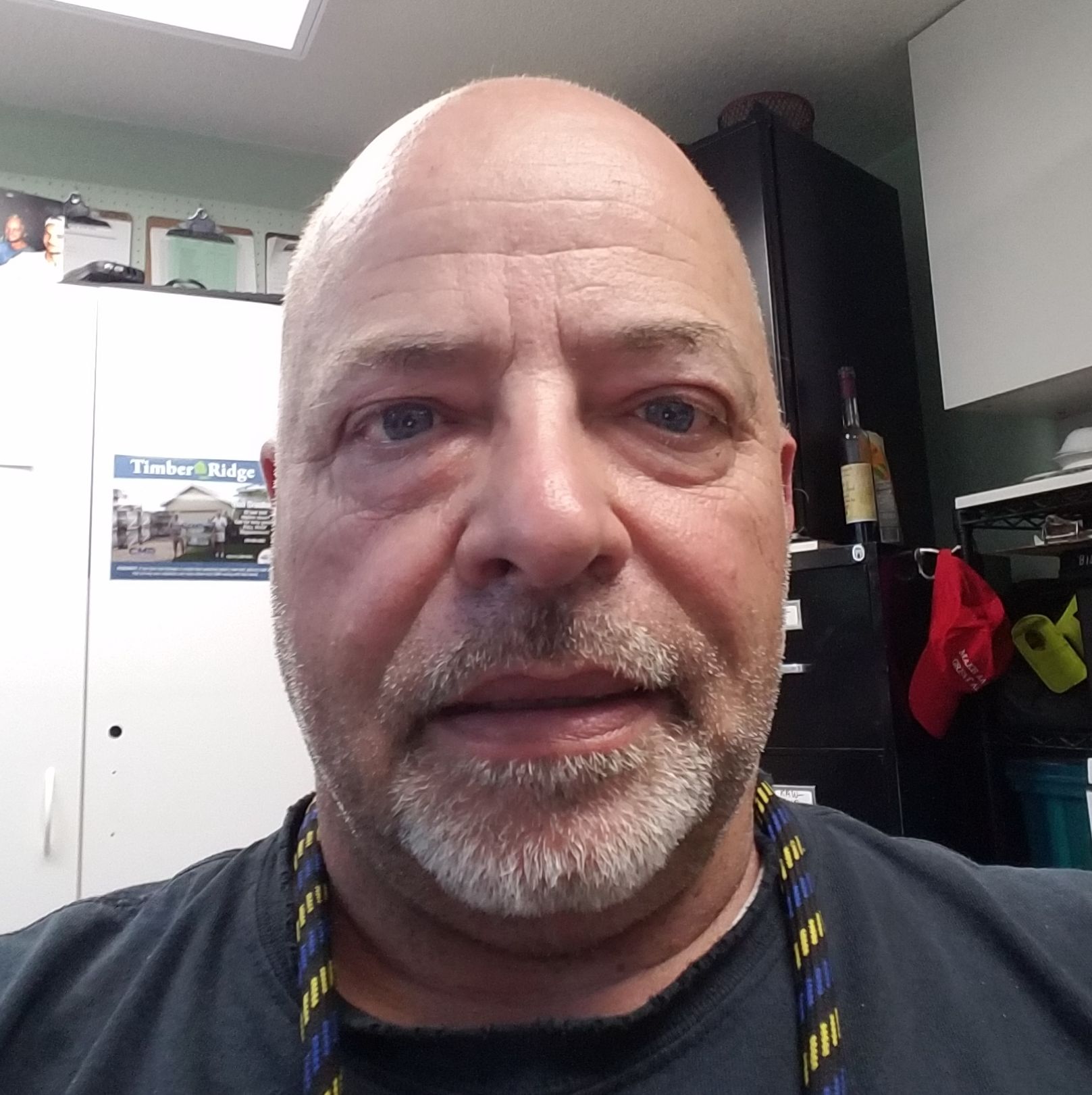 Profile of David Currier