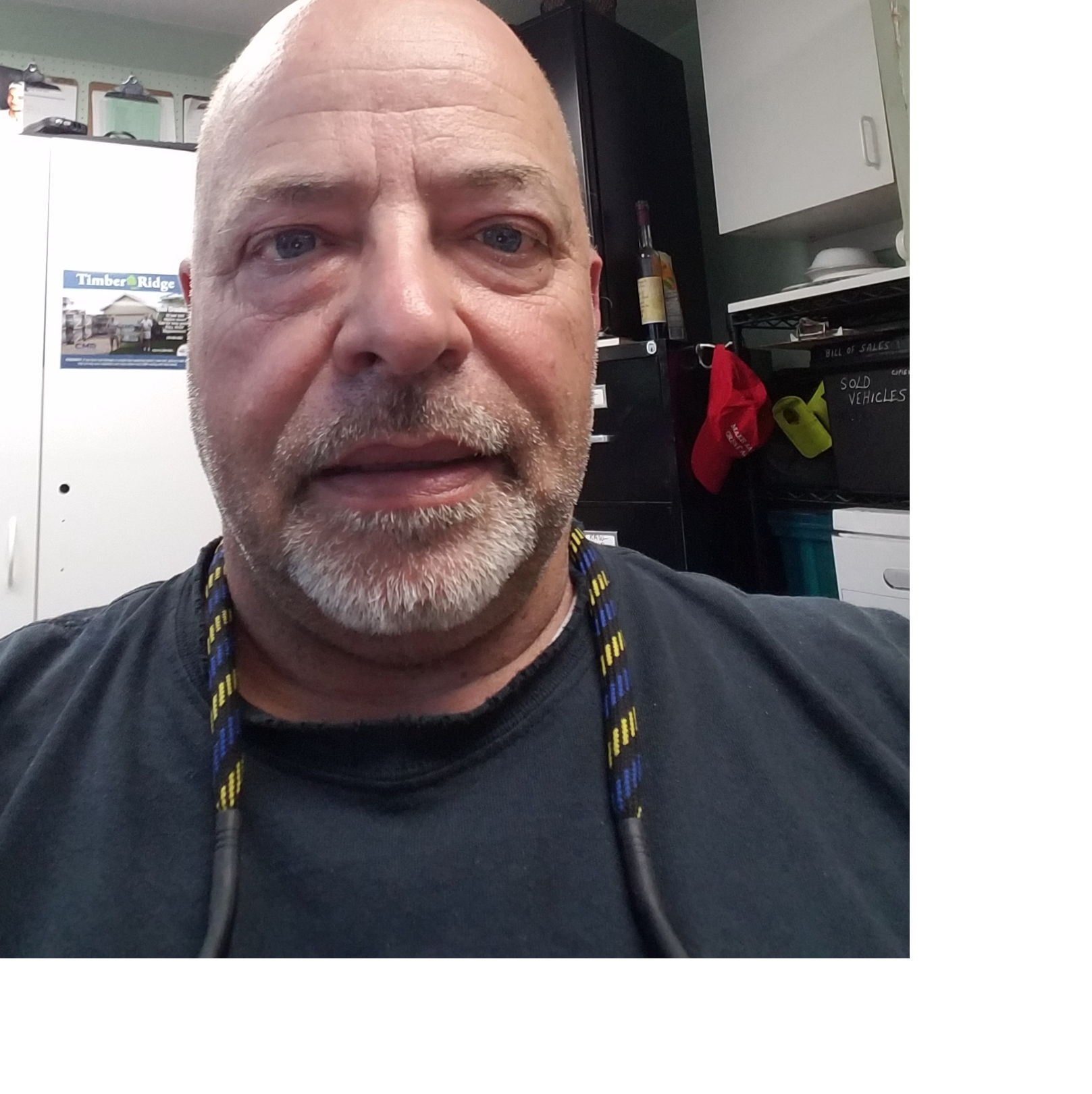 Profile of David Currier