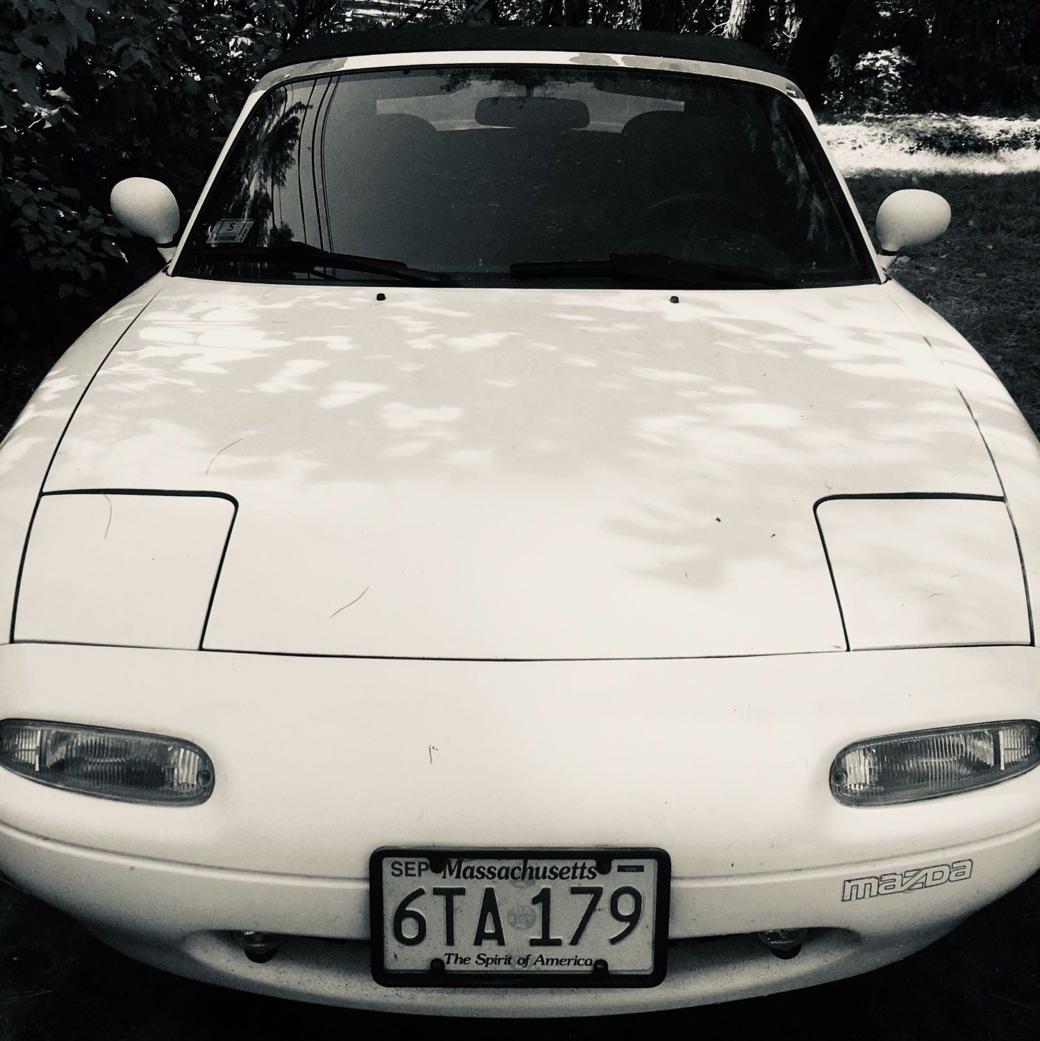 Profile of Ray Ciemny