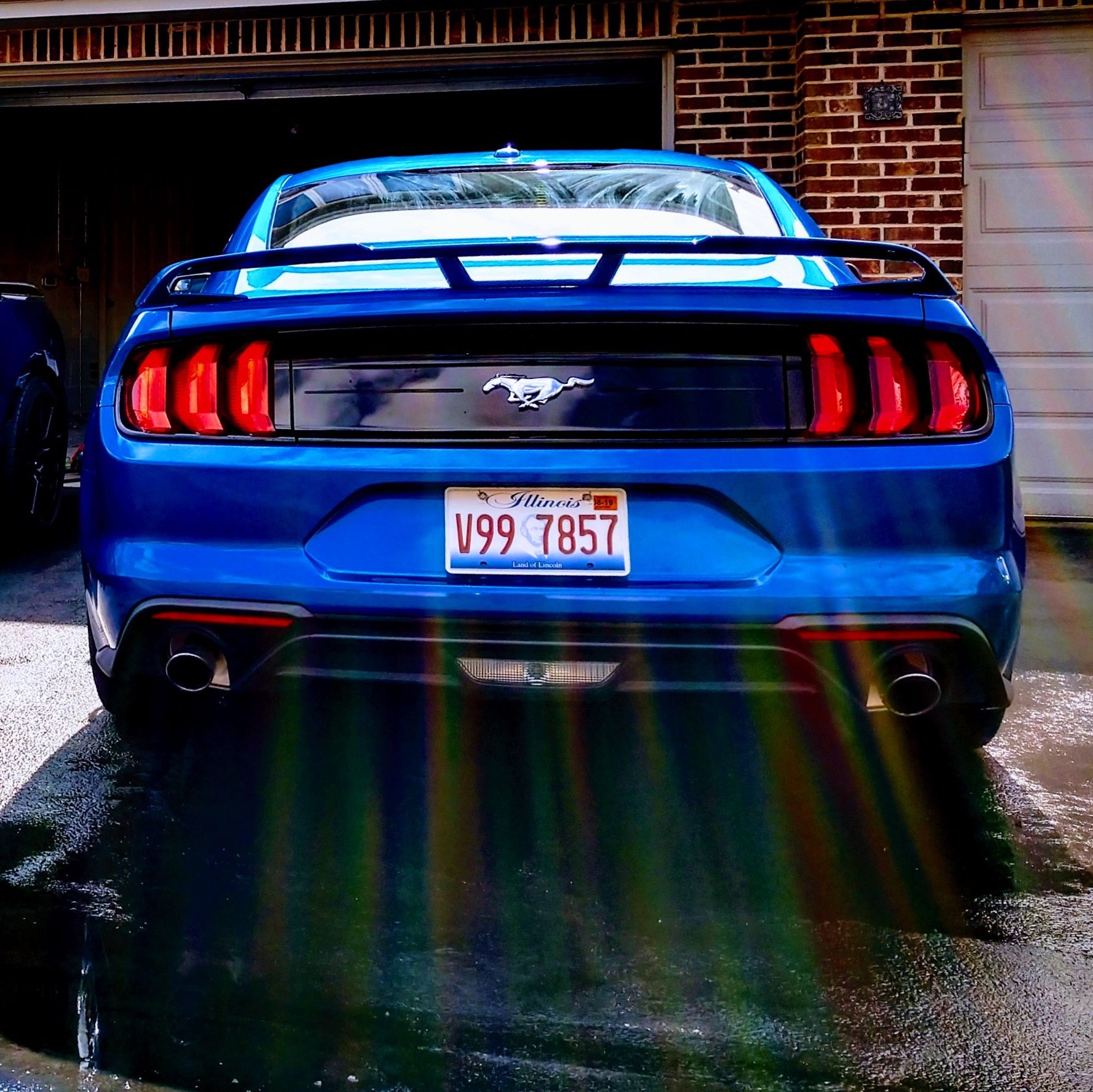 Profile of Brad Caputo