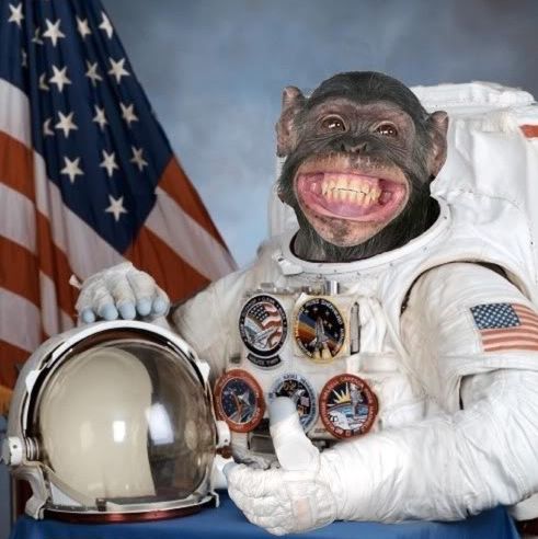 Profile of Kevin Campbell