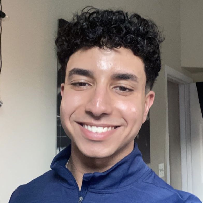 Profile of Ramin Ayrempour