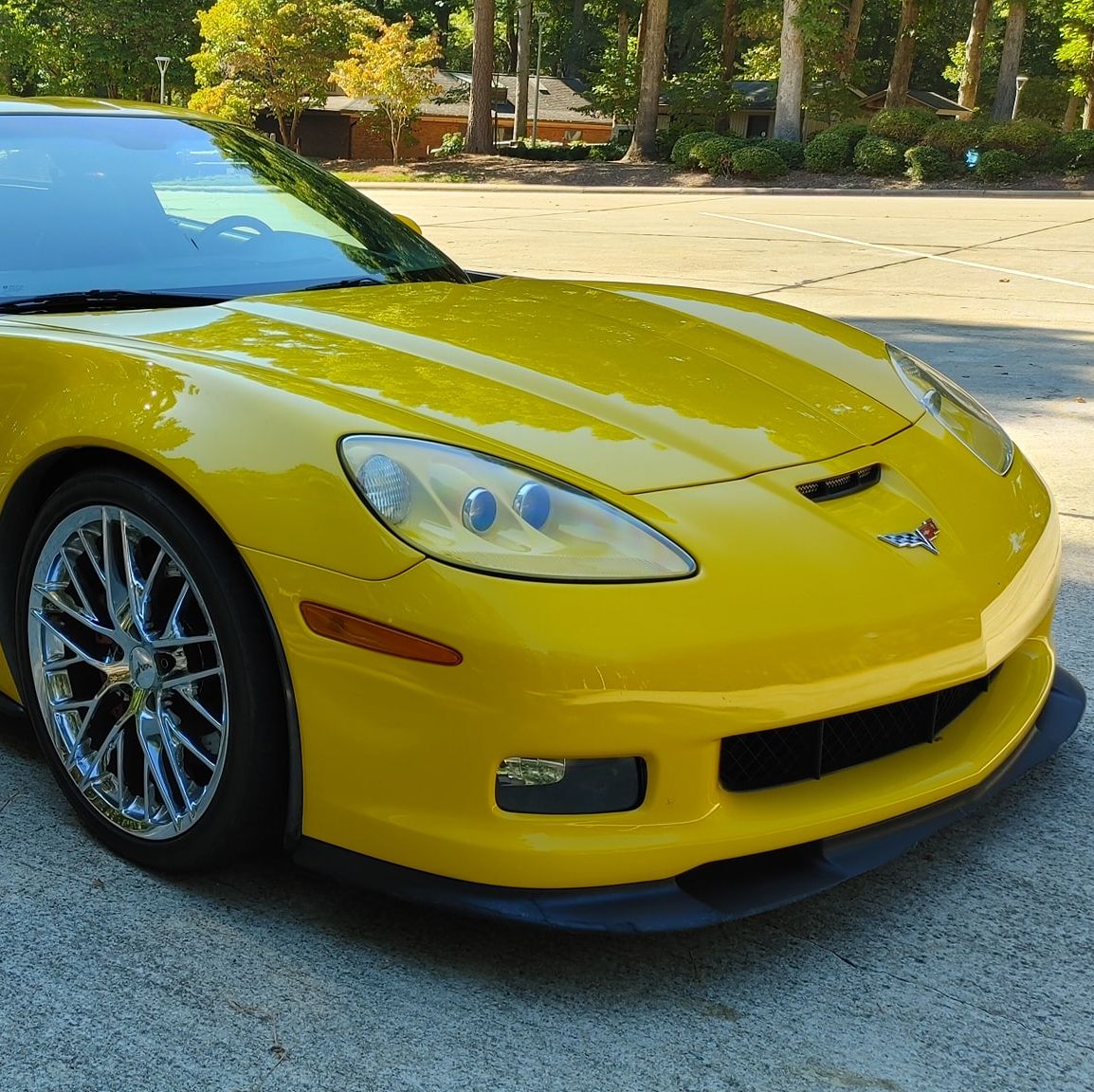 Profile of Joey Nguyen