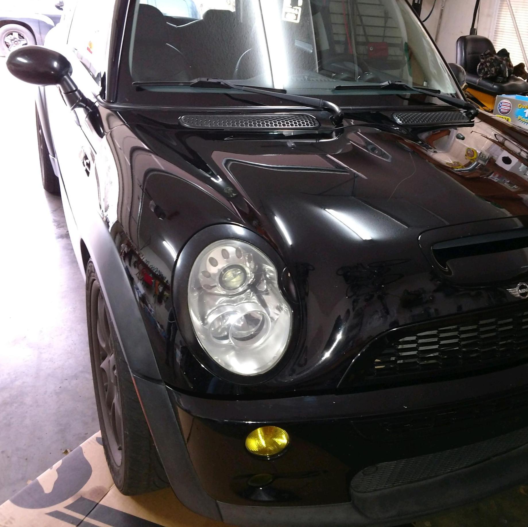 Profile of Alex Neklyudov