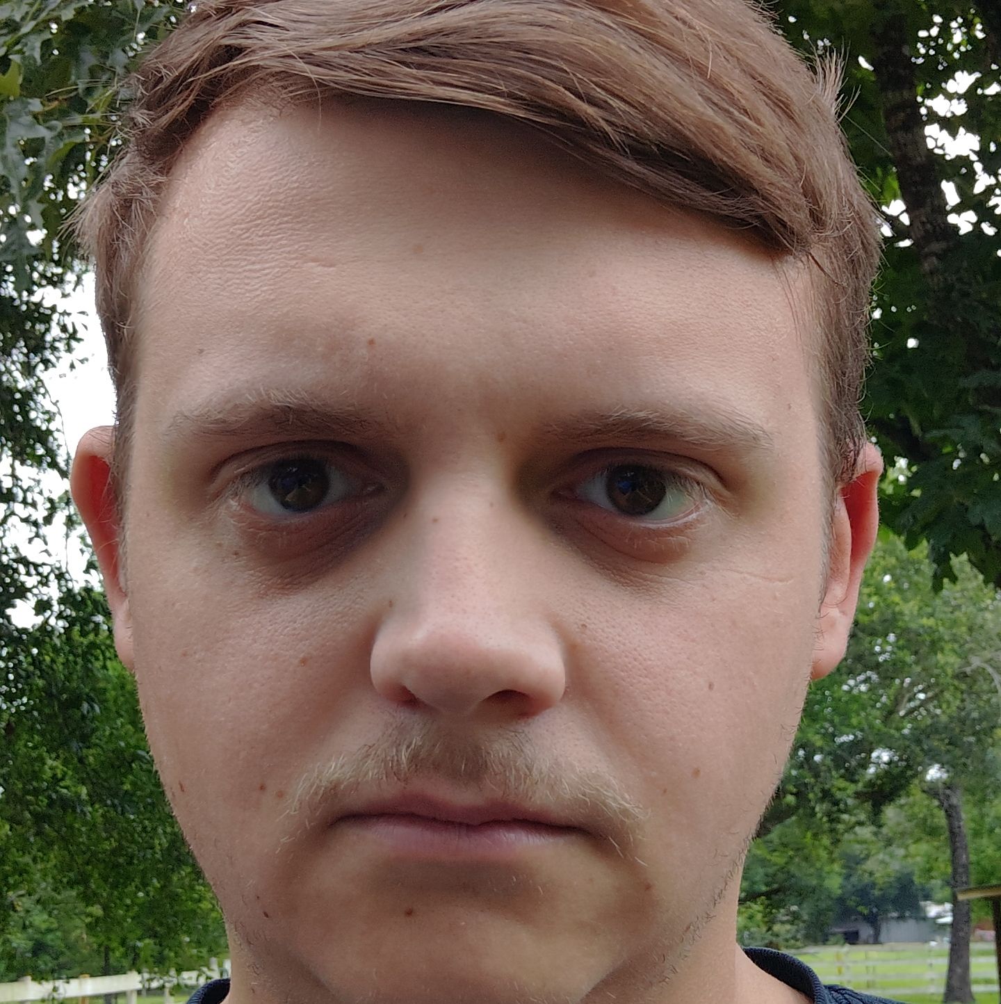 Profile of Alexis Winandy