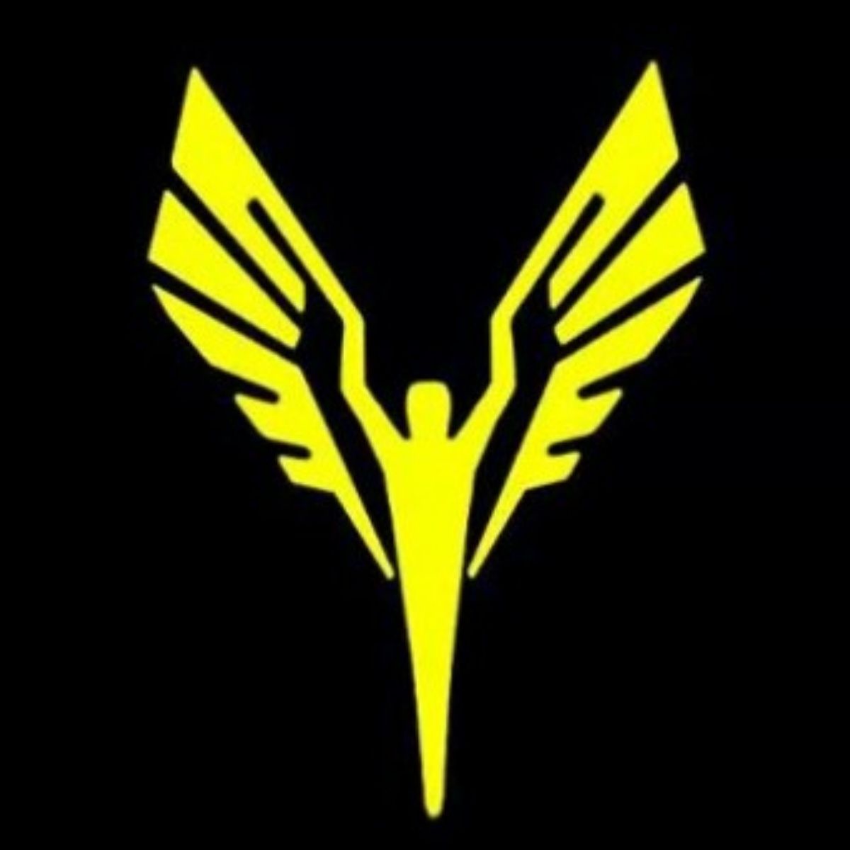 Profile of Wes Bird