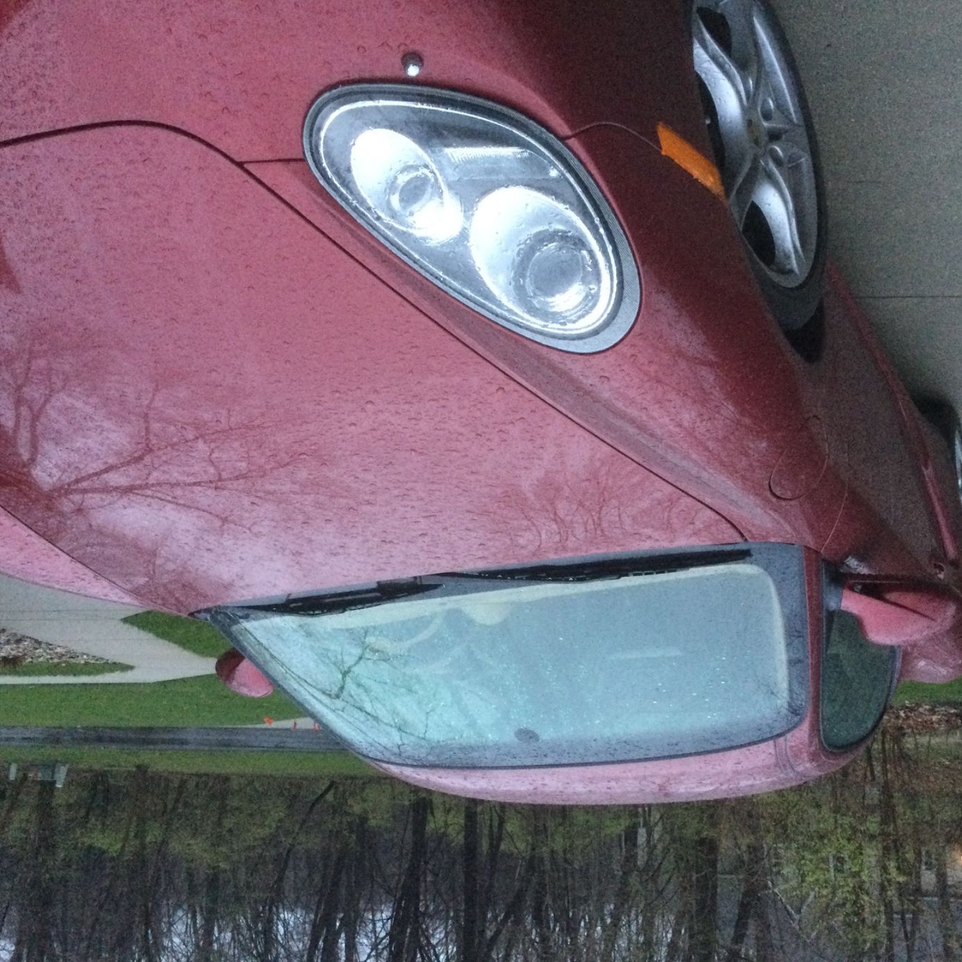 Profile of Ralph Shive