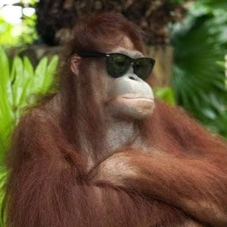 Profile of Cristian Matias