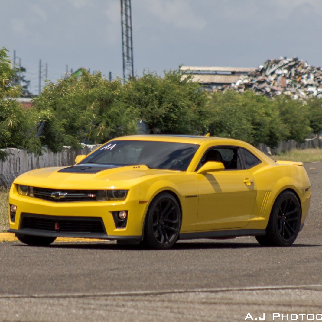 Profile of Luis Aviles