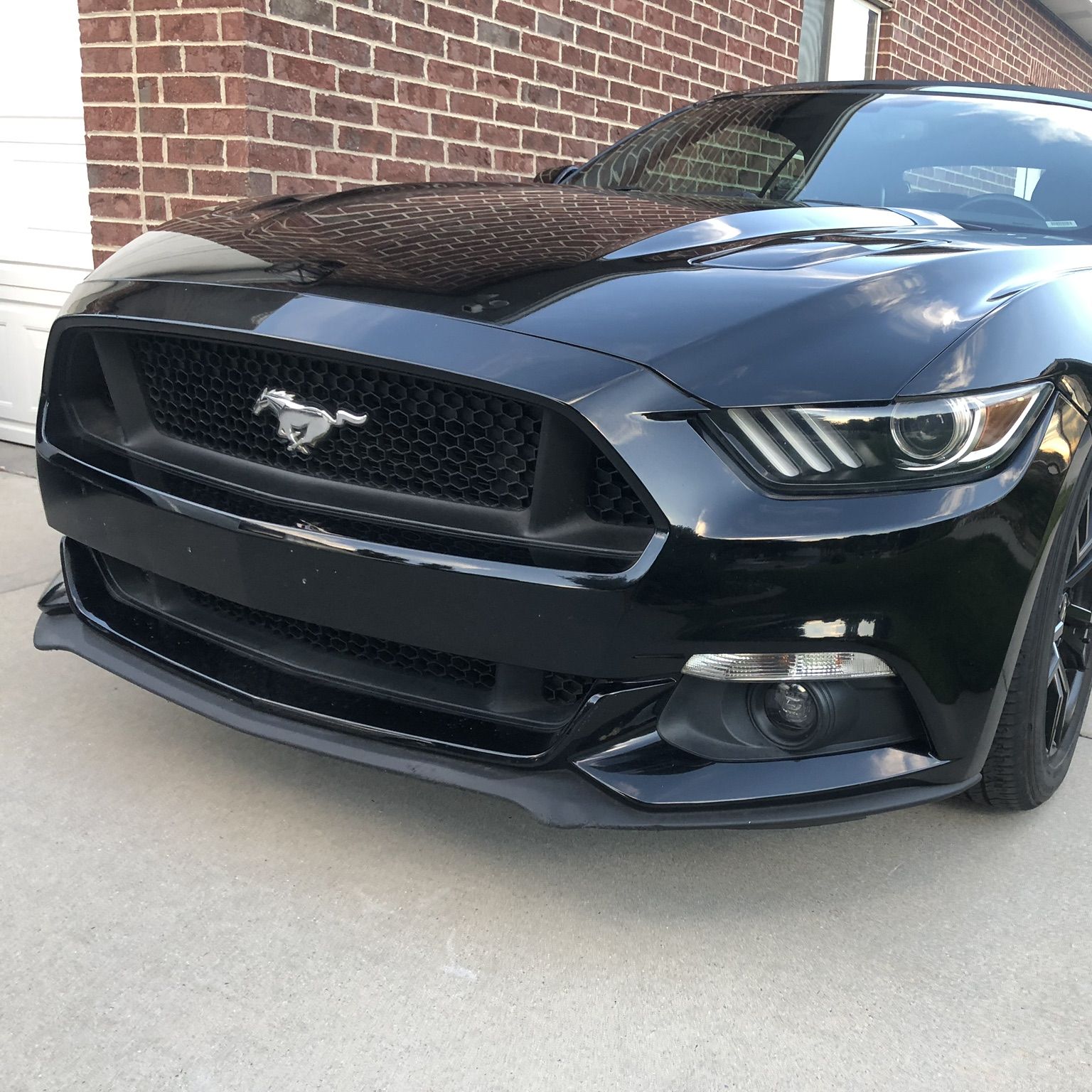 Profile of Andrew Wade