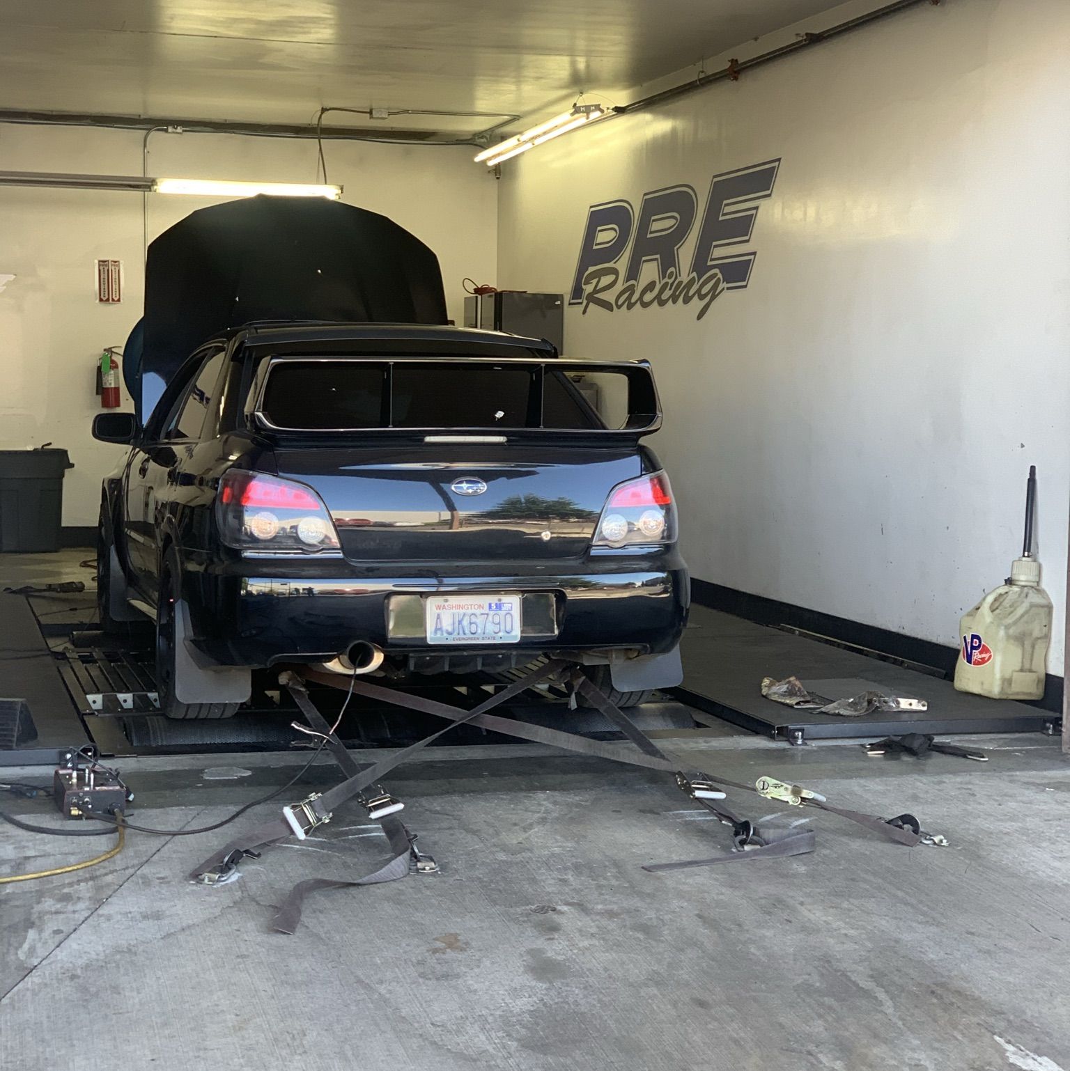 Profile of Dakota Pearson