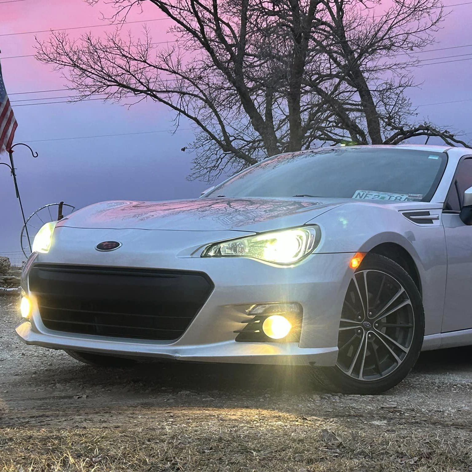 Profile of Dominic Phelps
