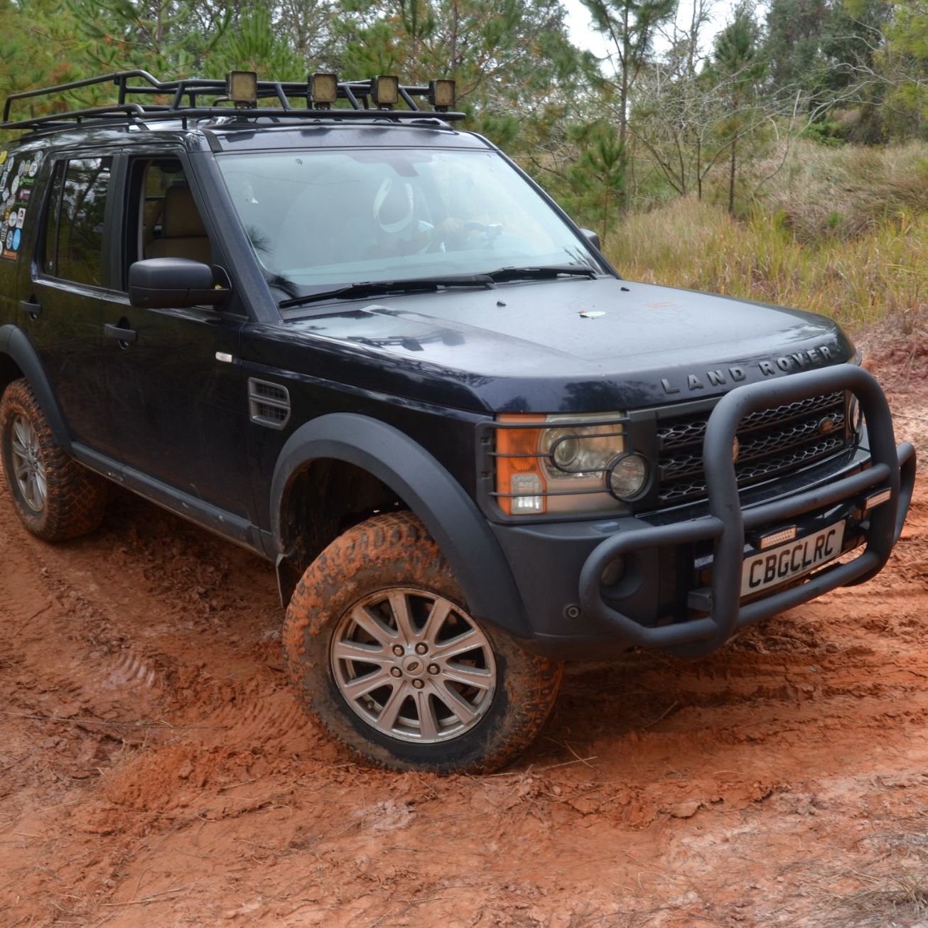 Profile of Charles Bell