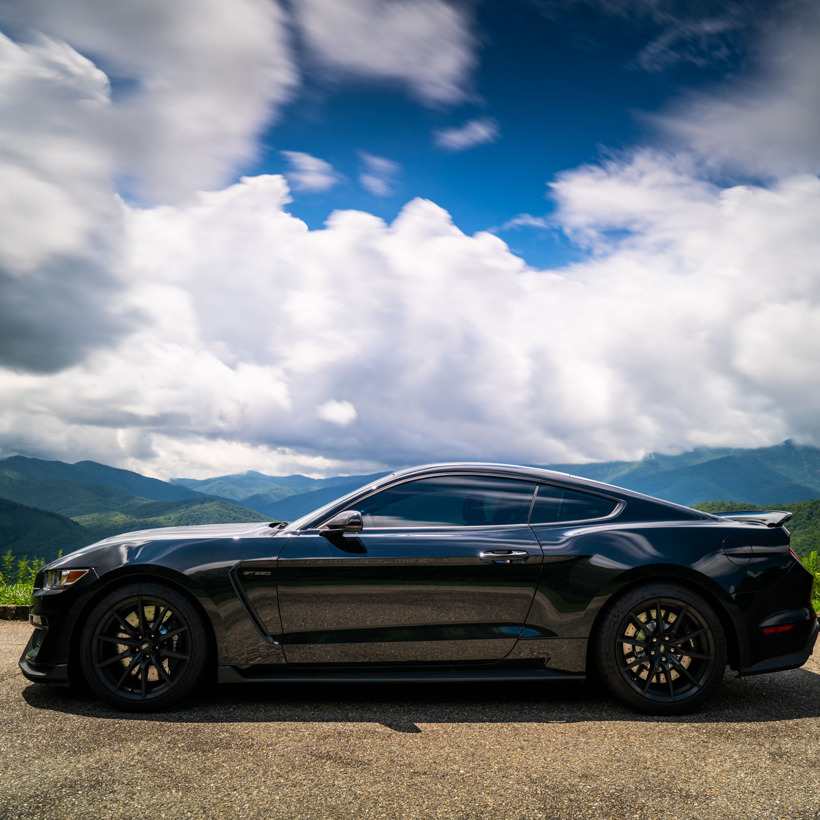 Profile of Jason Ruzic