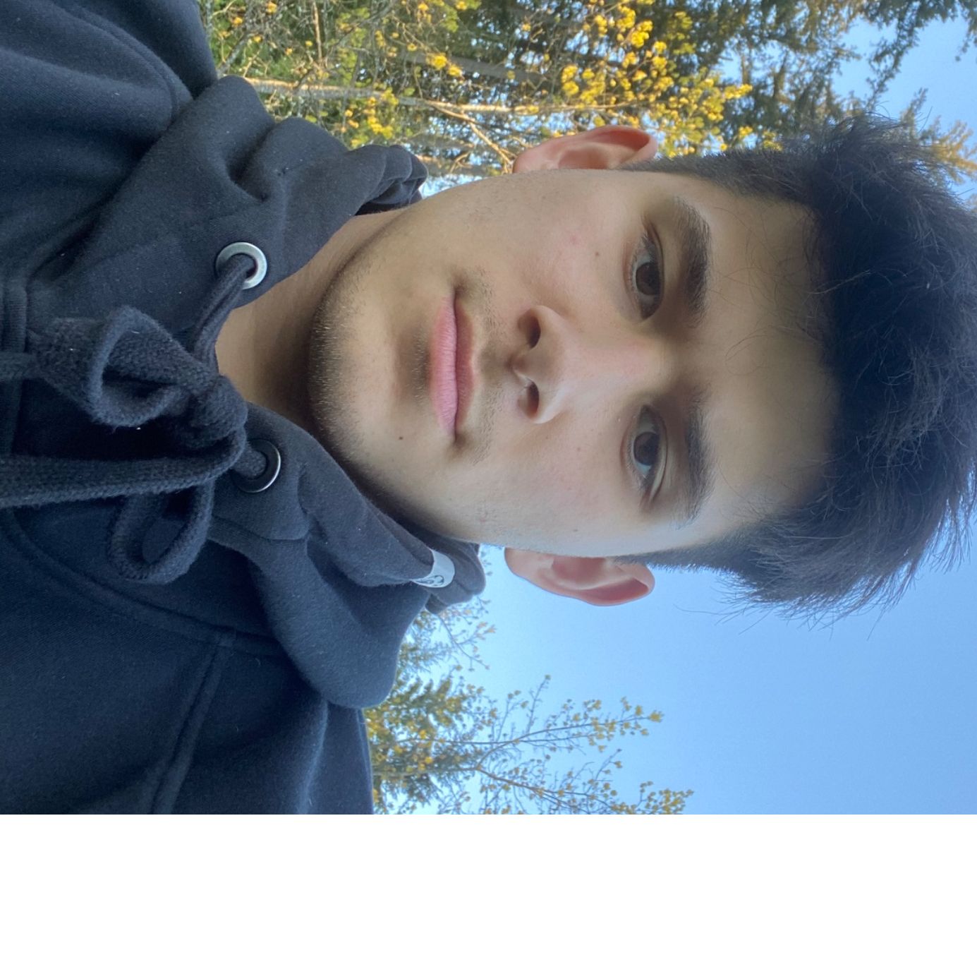 Profile of Tristan Birkwood