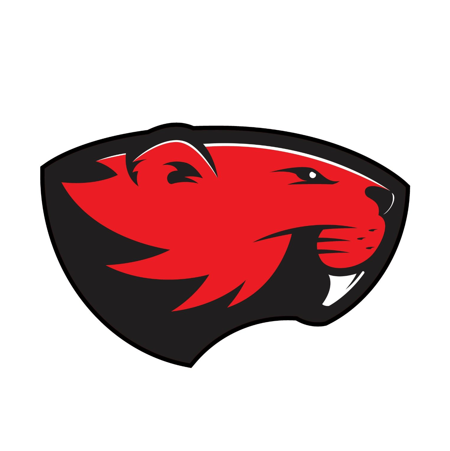 Profile of Red Beaver Racing