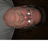 Profile of Craig Bogan