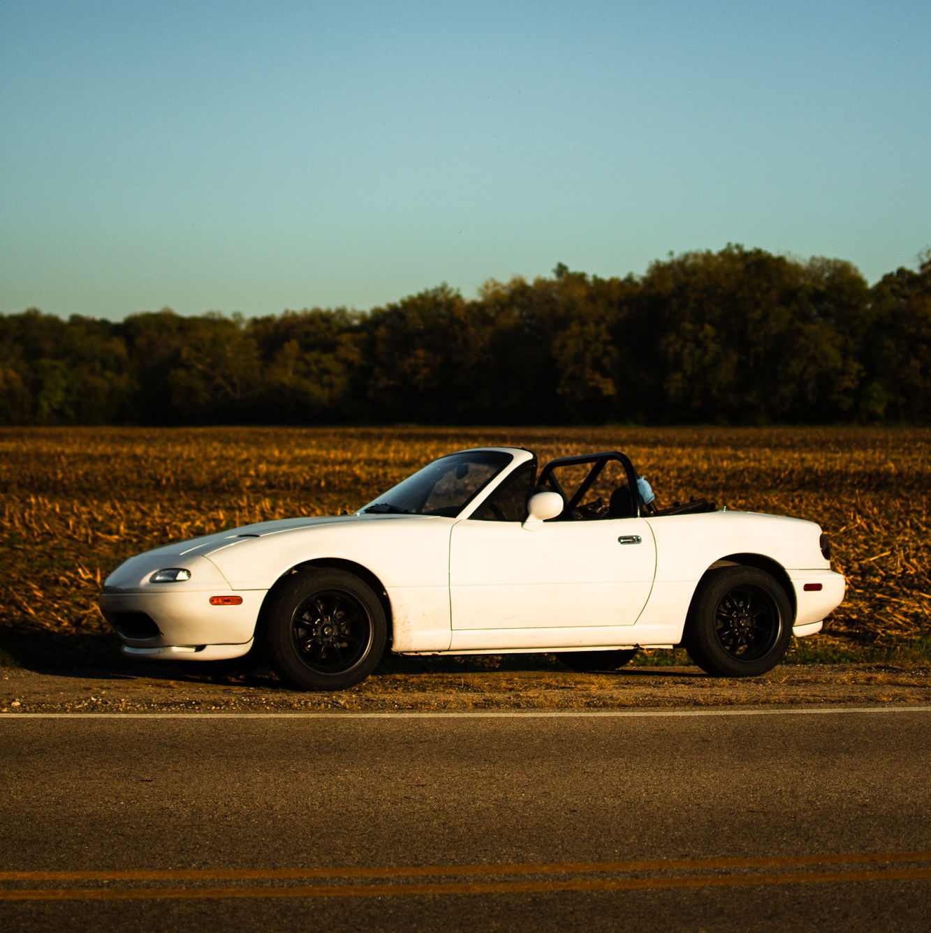 Profile of Ian Iding