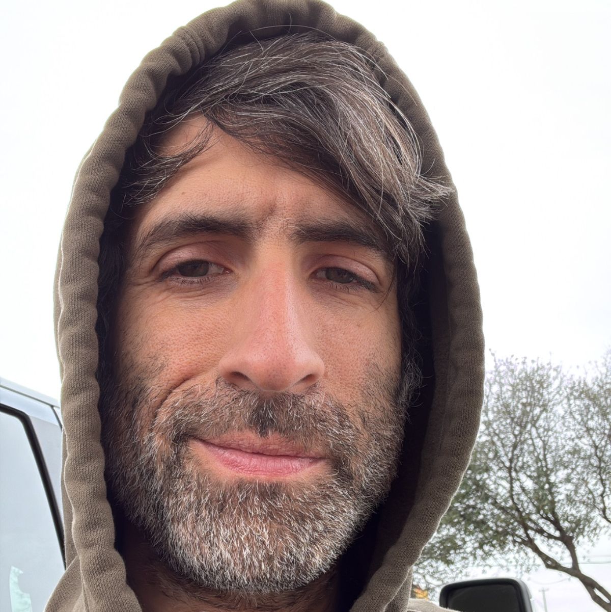 Profile of Daniel Moshe
