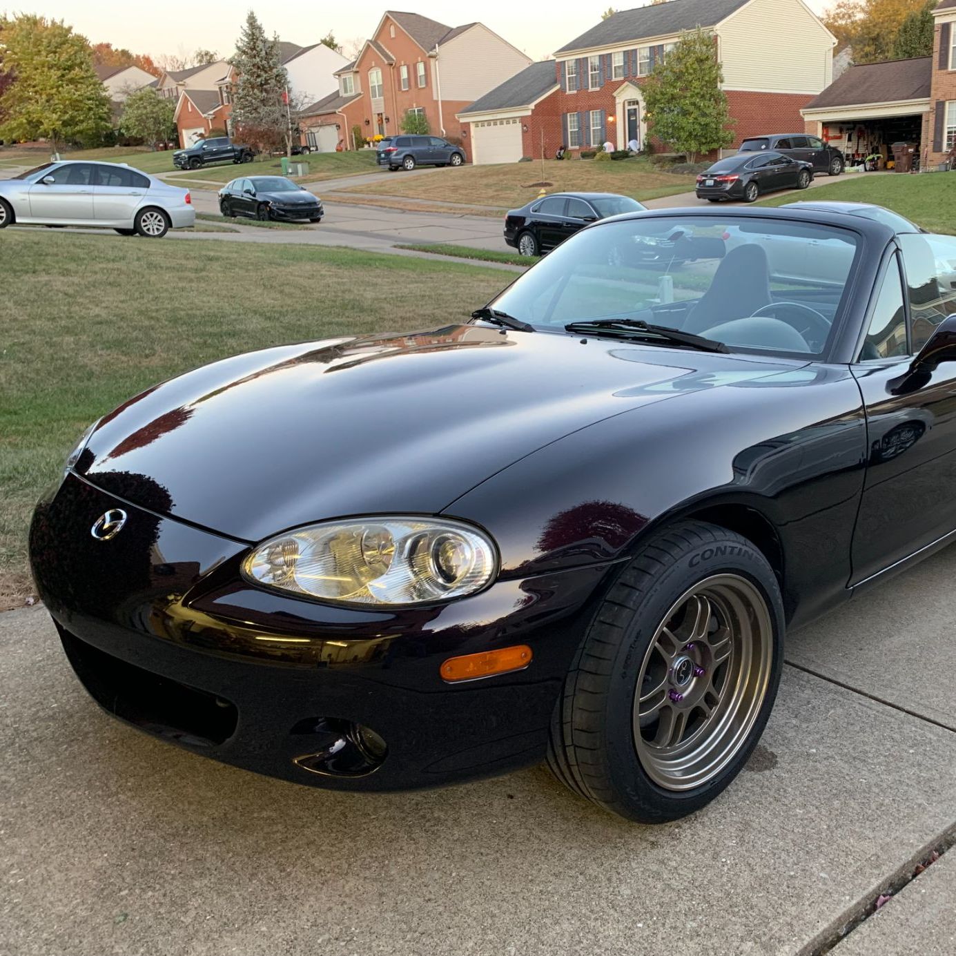 Profile of William Hays