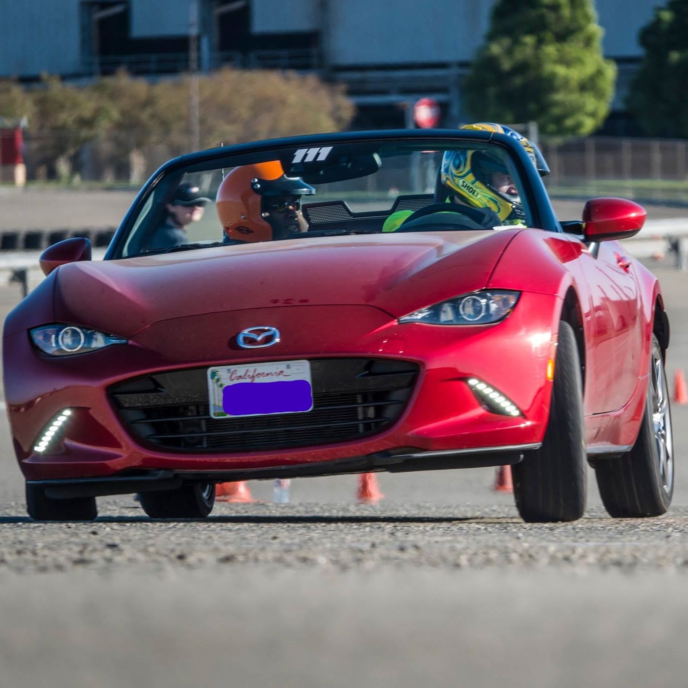 Profile of Brian Nealon