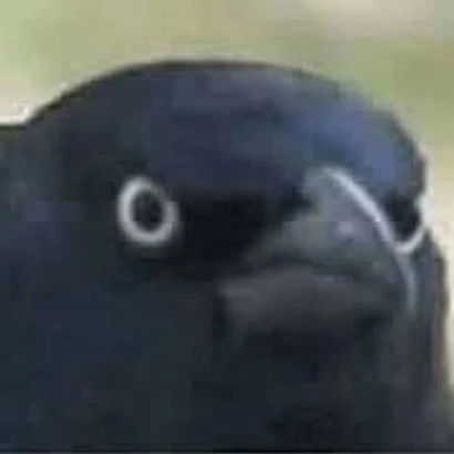 Profile of Samuel Déquier