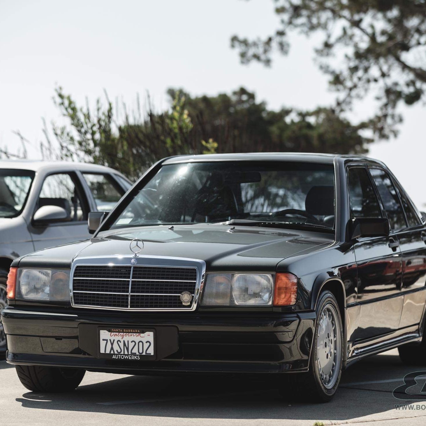 Profile of Reginald Ramirez