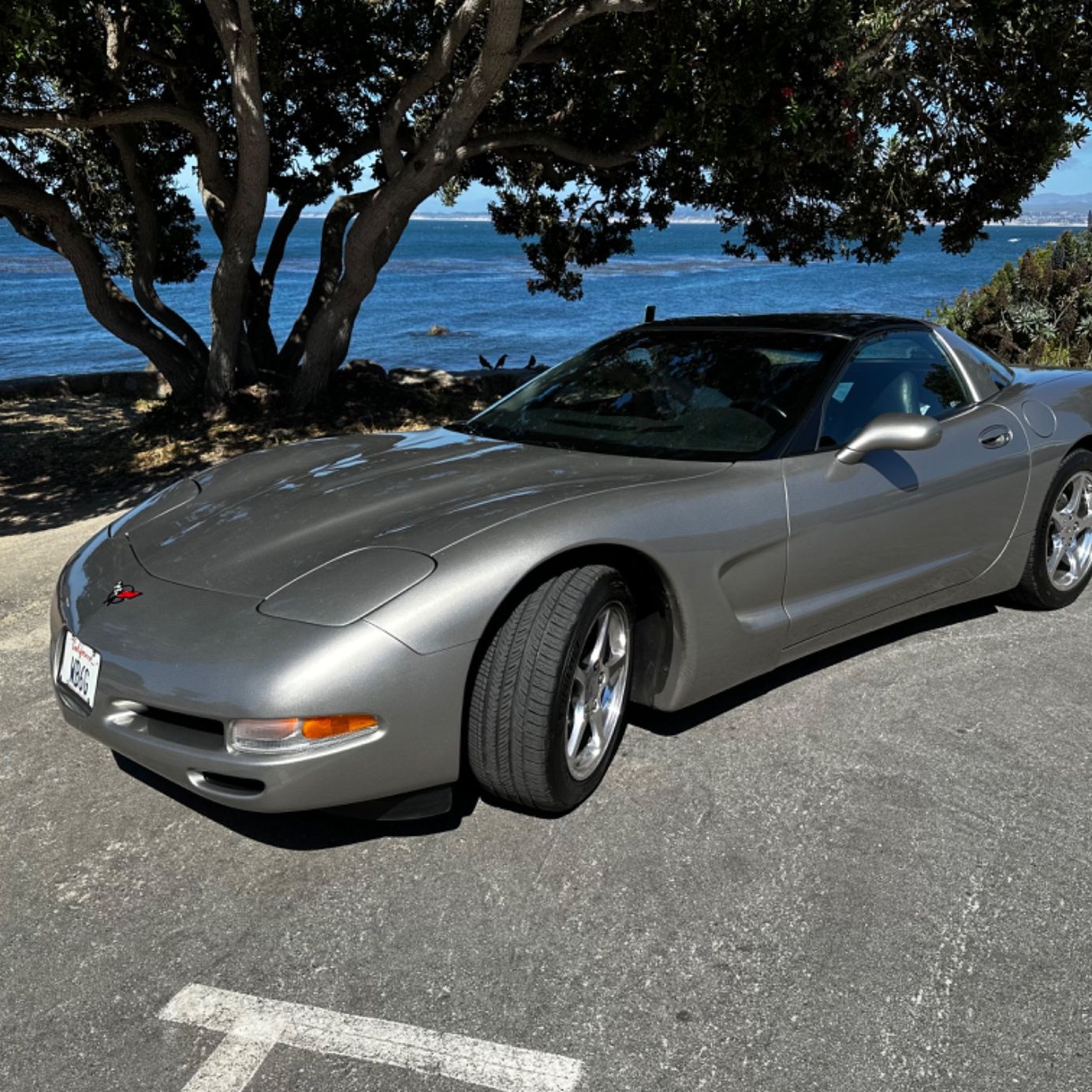 Profile of Gary Youngs