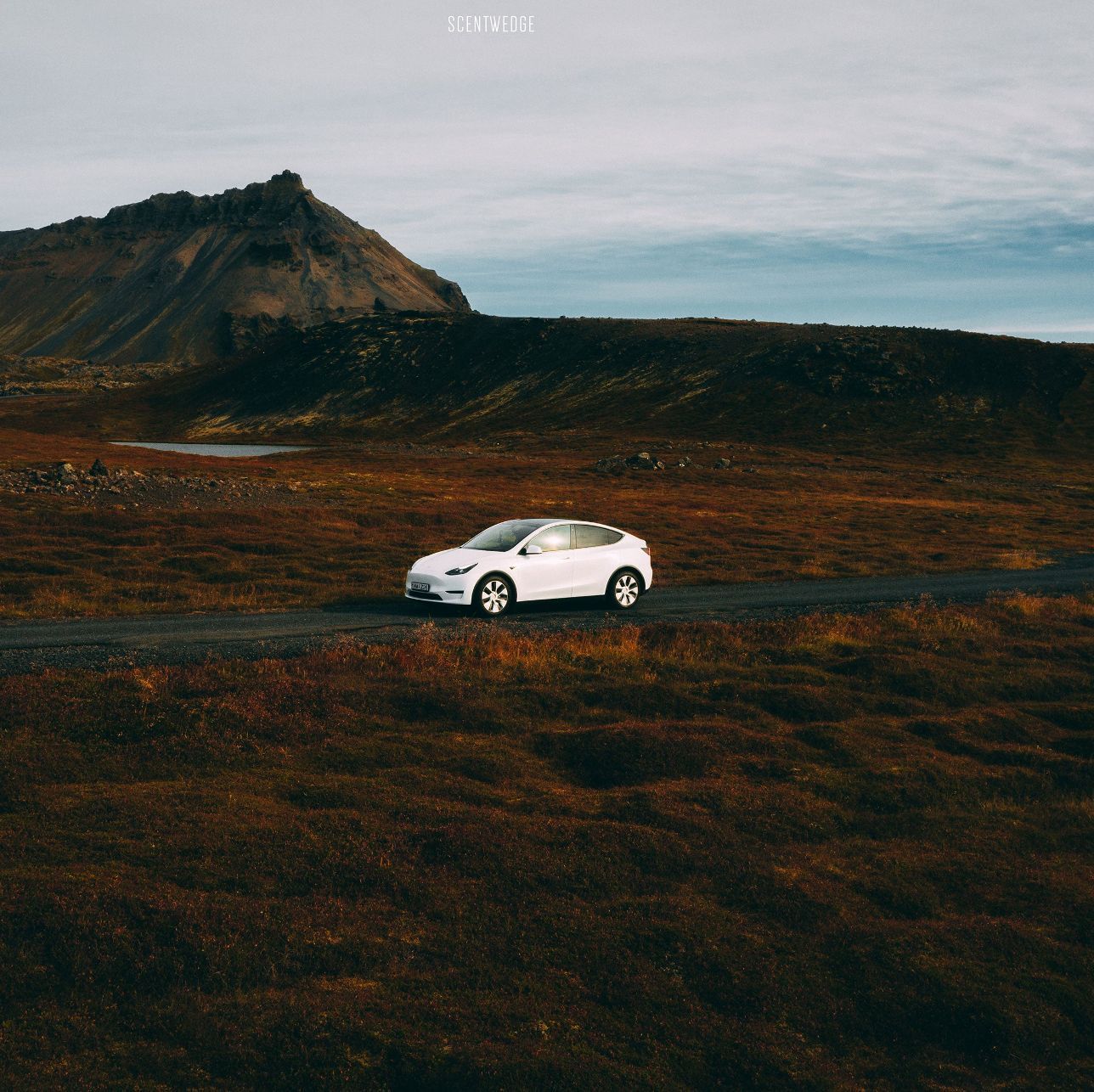 Profile of Will Cruz