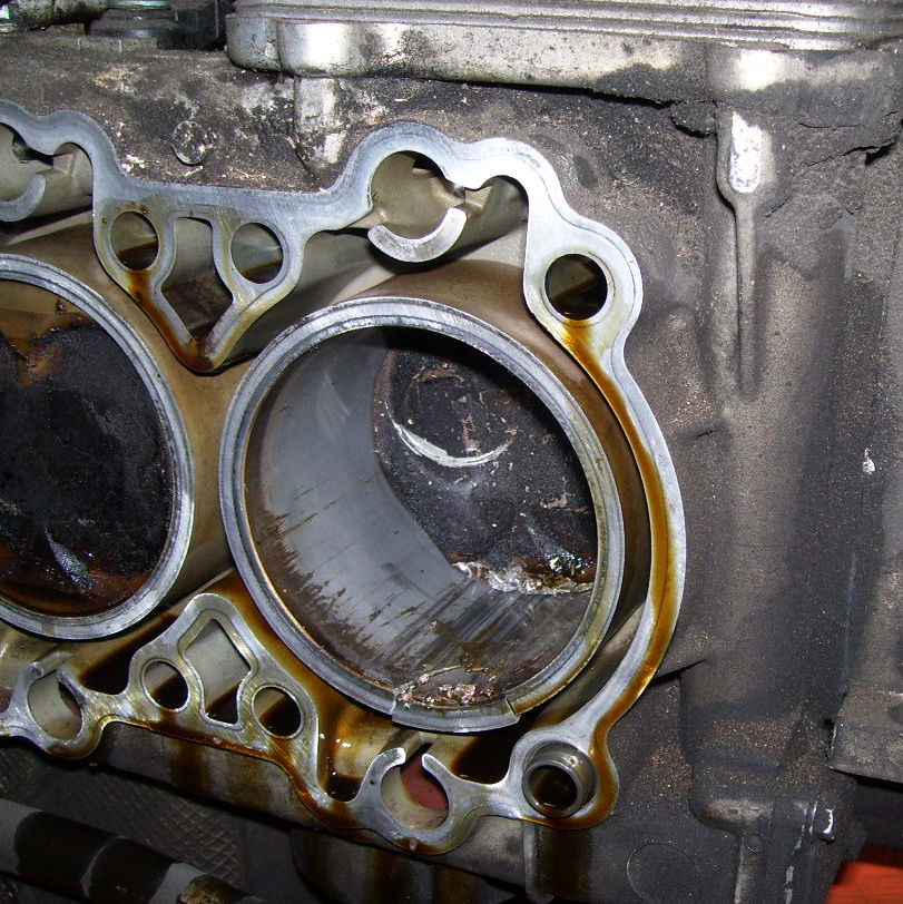 Profile of David Quesnel