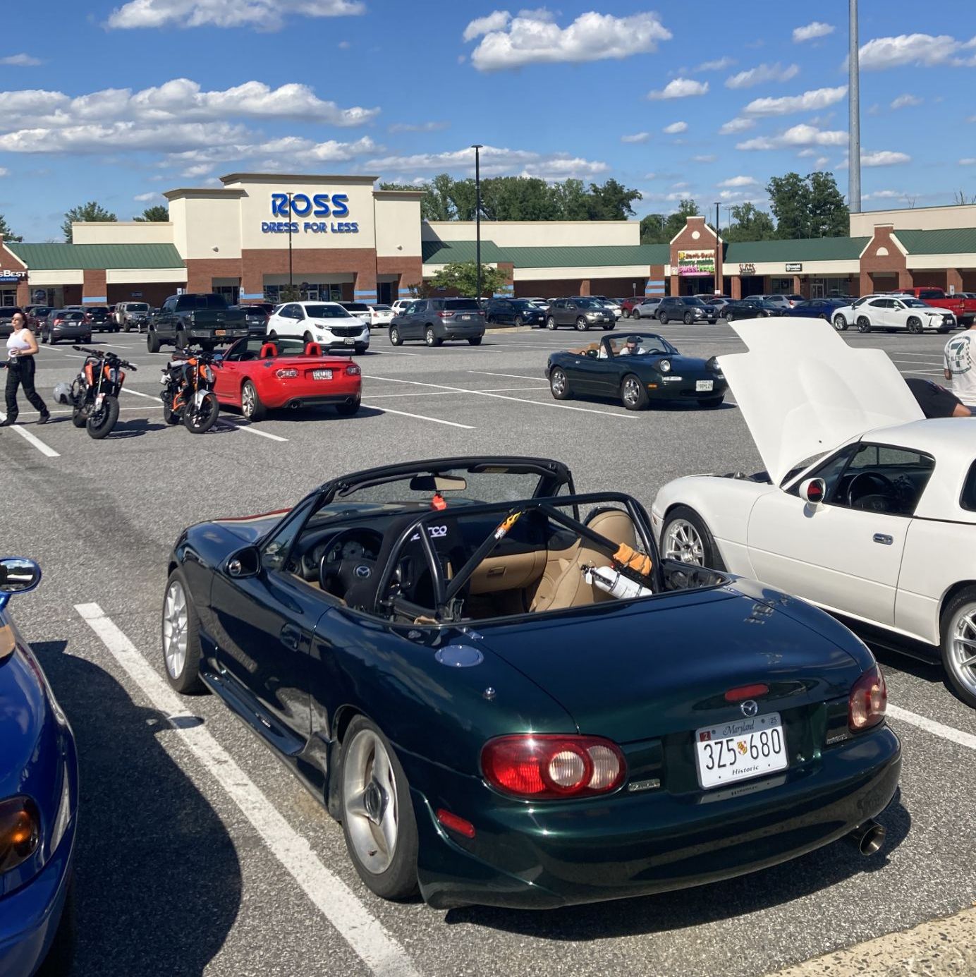 Profile of Max Mergerian