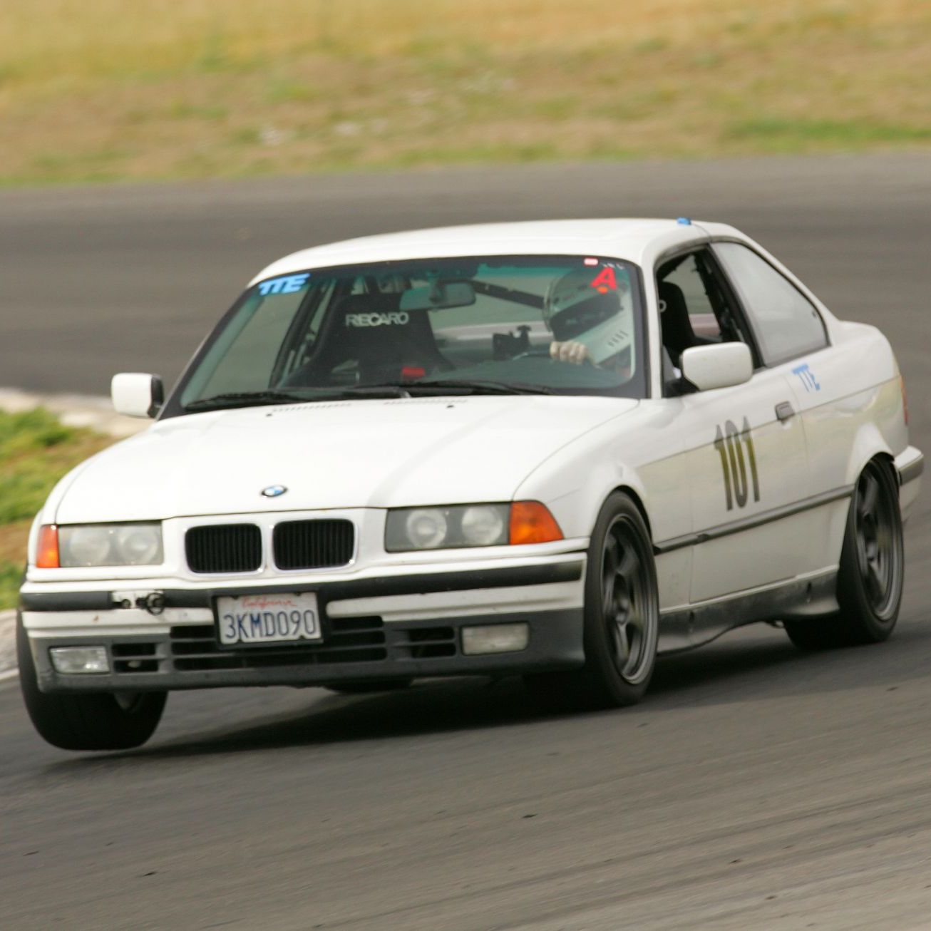 Profile of David Magee